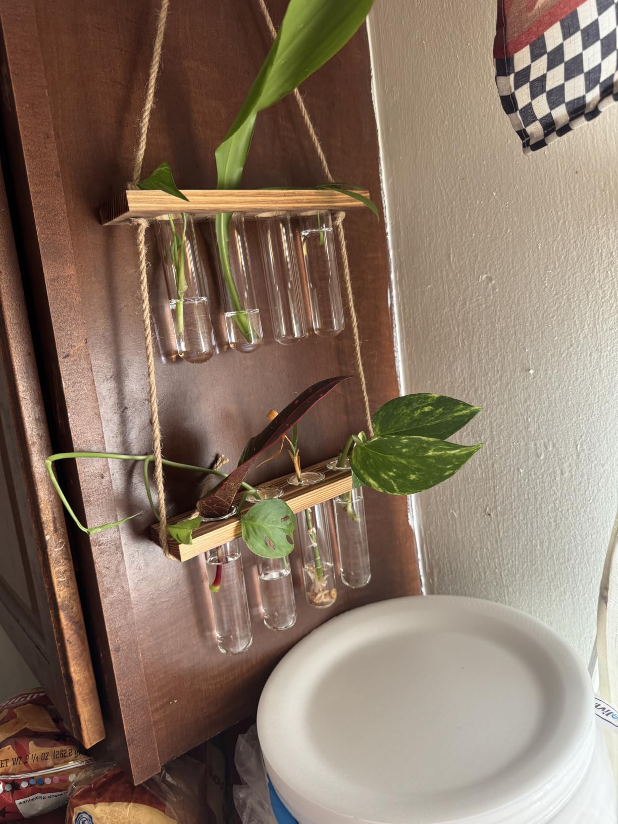 Hyindoor Wall Hanging Planter Terrarium 2 Tired Test Tube Vase Glass Planter Plant Propagation Station Plant Hangers of Rope with Wooden Stand and 8 Tubes for Hydroponic Plant Cutting customer photo 2