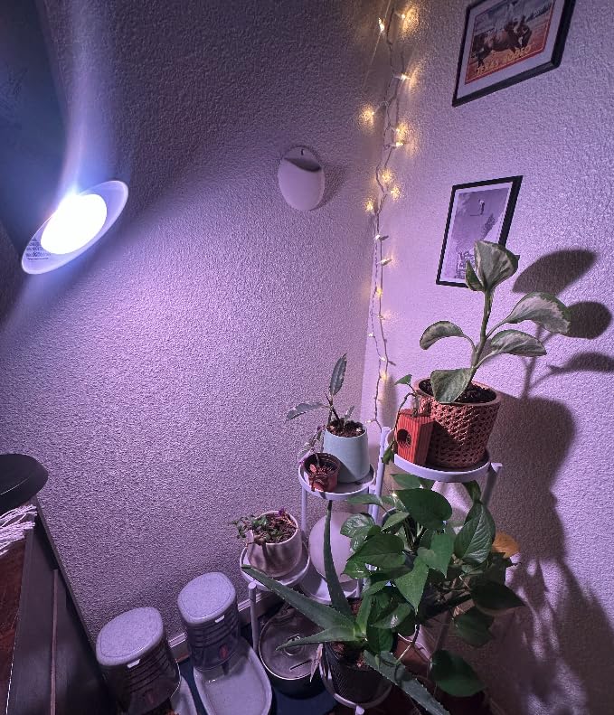 GE Grow Lights for Indoor Plants, BR30 Indoor Floodlight, LED Light Bulbs for Seeds and Greens with Balanced Spectrum, 25,000 Hours Lifespan, 16 PPF, 2 Pack (Packaging May Vary) customer photo 1
