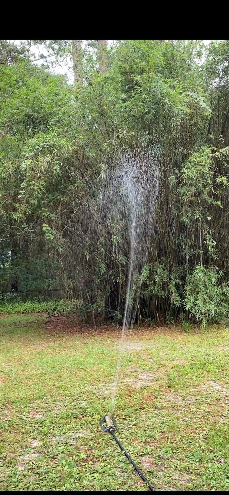 J&B XpandaHose 100ft Expandable Garden Hose - Heavy Duty Superior Strength 3750D - 4 -Layer Latex Core - Extra Strong Brass Connectors and Storage Bag (Black 100) customer photo 1