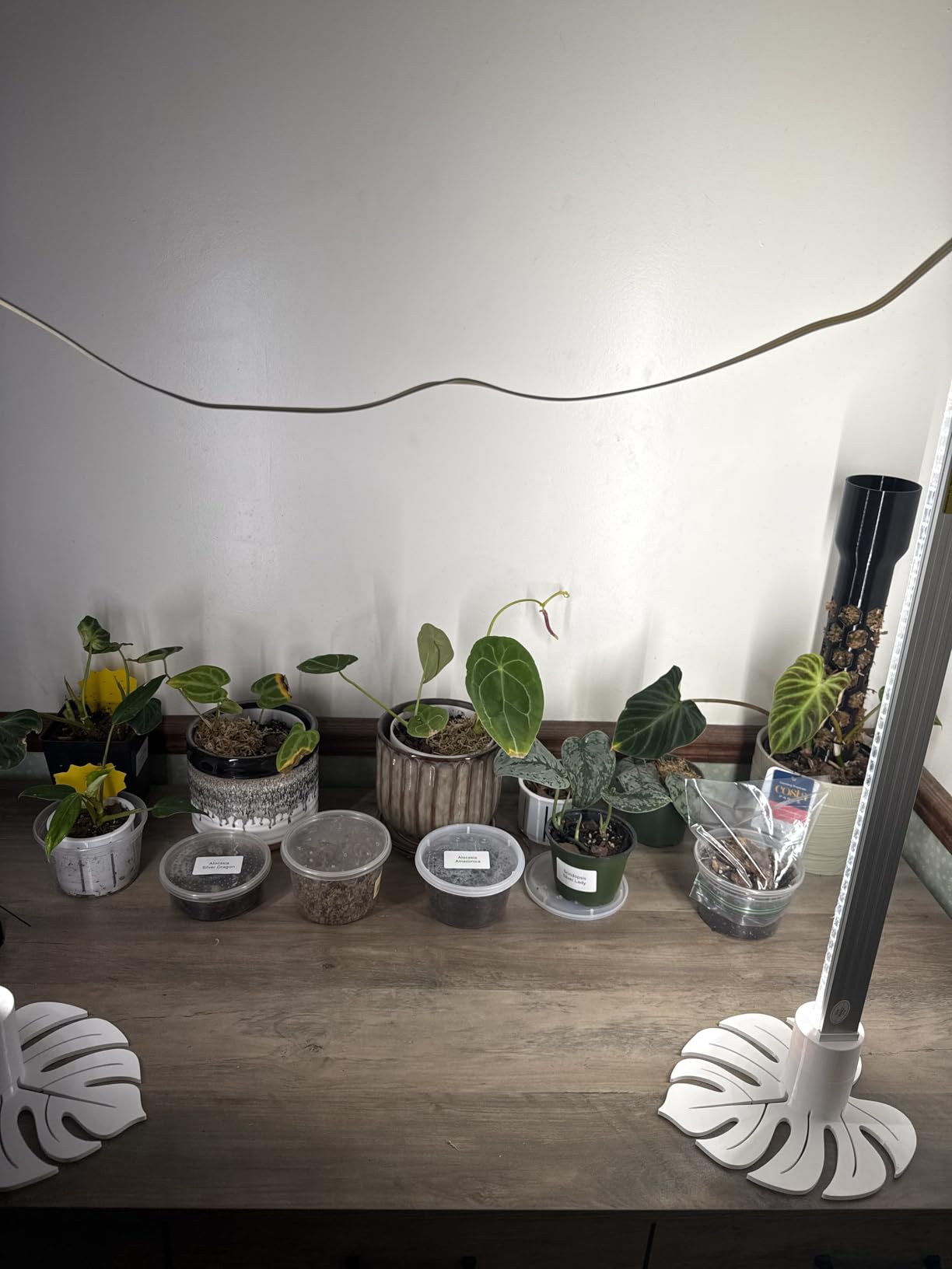 Barrina Plant Grow Lights, 4FT 5000K Full Spectrum Daylight White, 6 Packs customer photo 1
