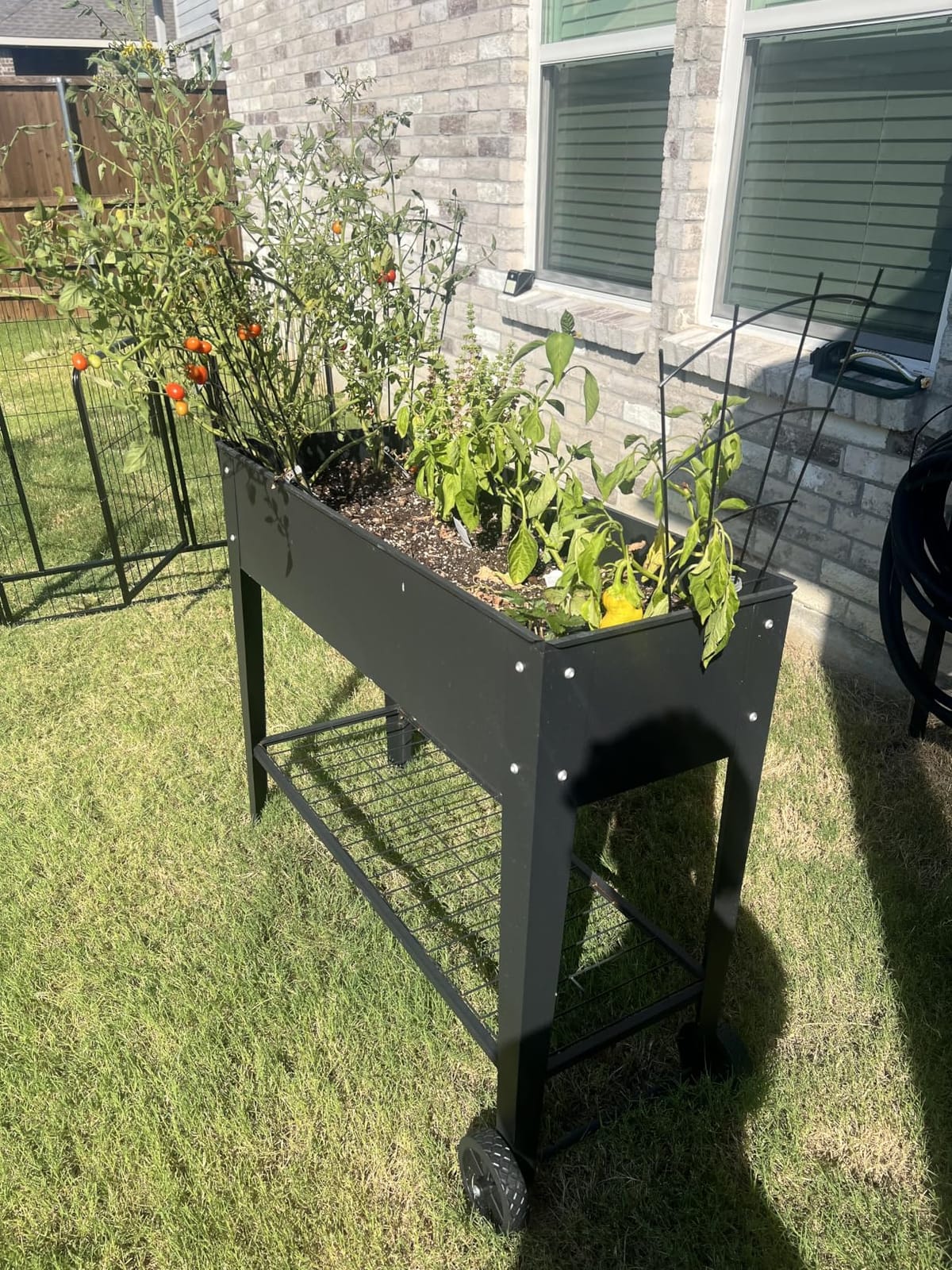 LEETOLLA 32-Inch Elevated Raised Garden Bed with Wheels and Storage Shelf customer photo 2