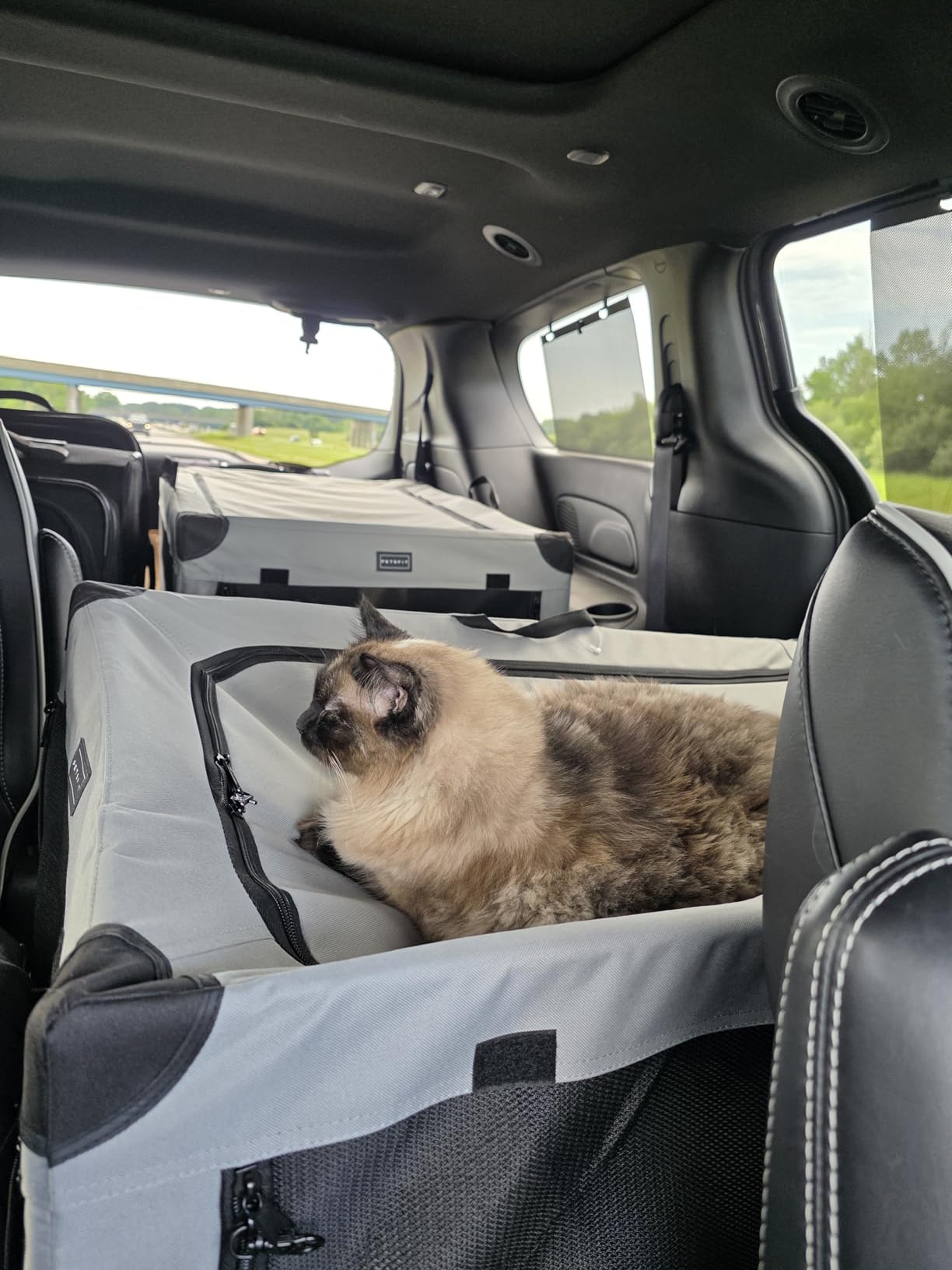 PETSFIT 36