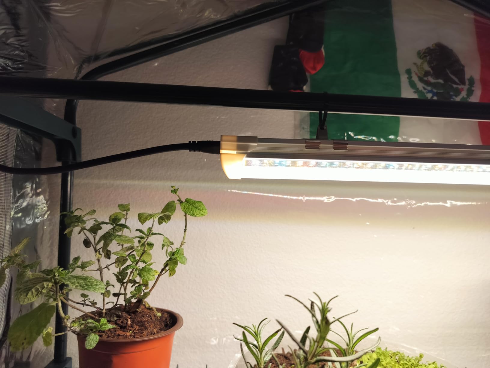 Bstrip Indoor Greenhouse with Grow Light, 4-Tier Mini Greenhouse Indoor customer photo 2