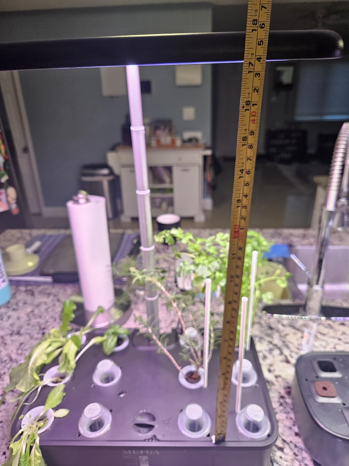 MUFGA 12 Pods Hydroponics Growing System, Indoor Garden with LED Grow Light, Plants Germination Kit, Mini Herb Garden with Pump System, Height Adjustable (No Seed) customer photo 1