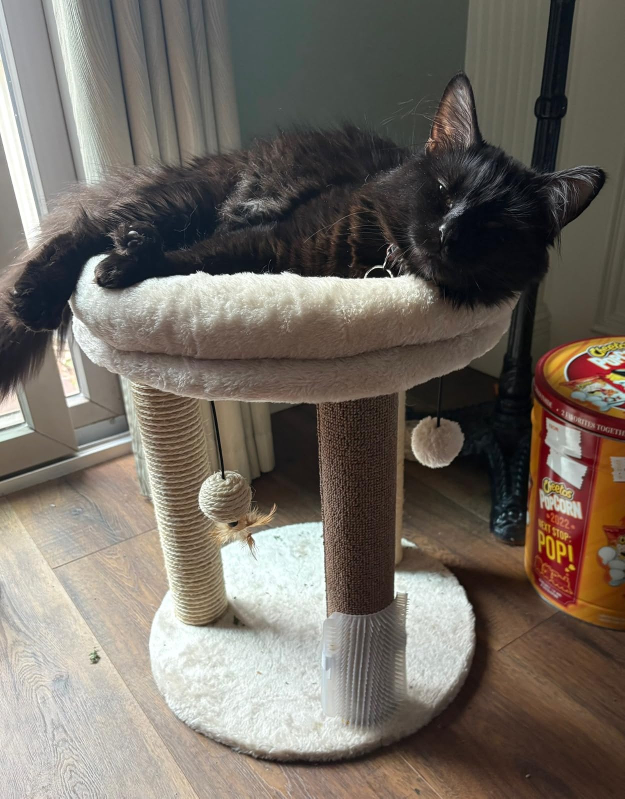 MECOOL 4in1 Small Cat Tree,Scratching Post with Tower Soft Bed, Sisal Carpet Jute Posts with Three Hanging Ball Toys and Massage Brush for Indoor Cats and Kittens customer photo 1