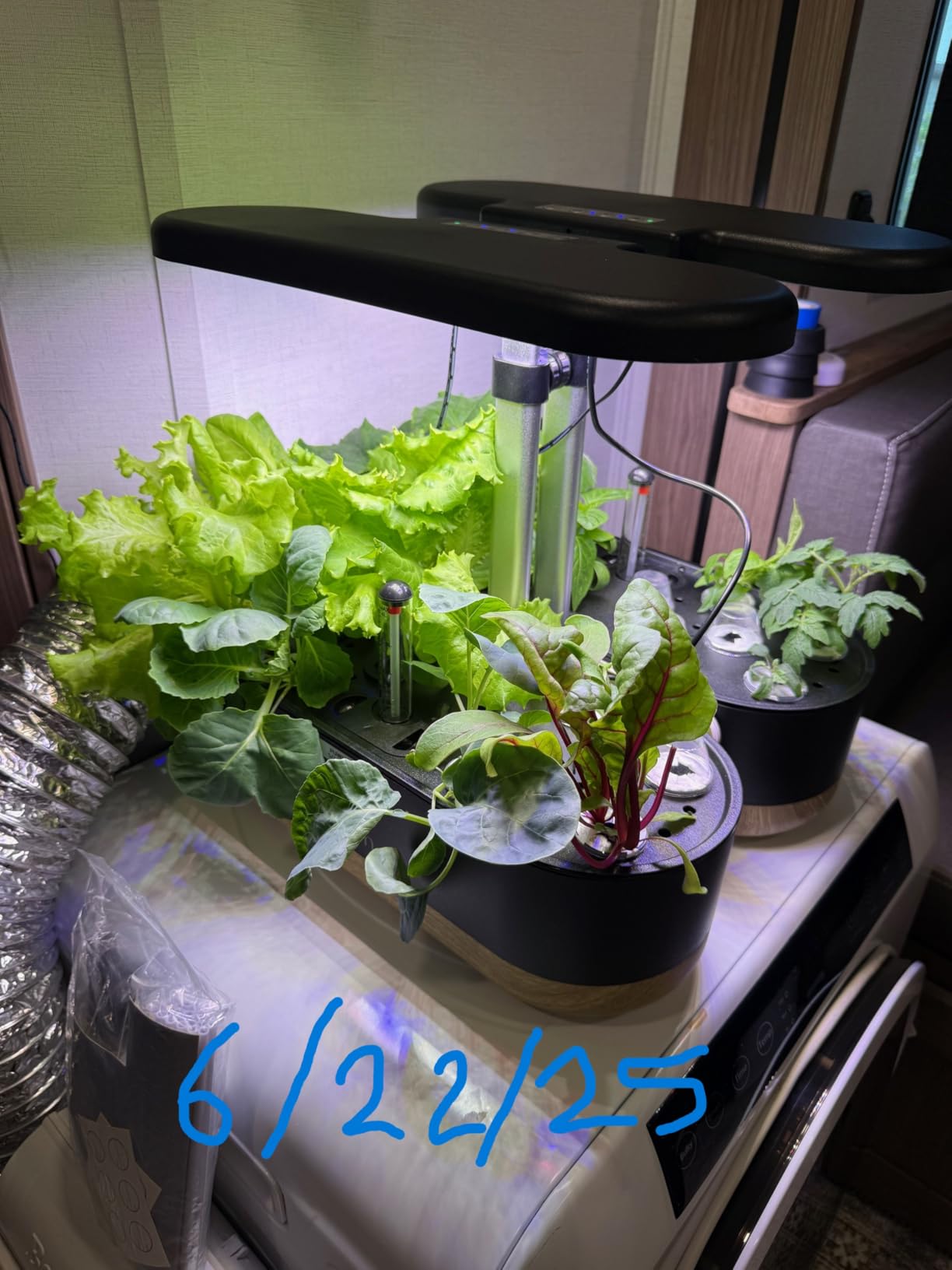 inbloom Hydroponics Growing System 12 Pods, Indoor Herb Garden with LEDs Full-Spectrum Plant Grow Light, Water Shortage Alarm, Automatic Timer, Height Adjustable, Ideal Gardening Gifts for Women customer photo 2