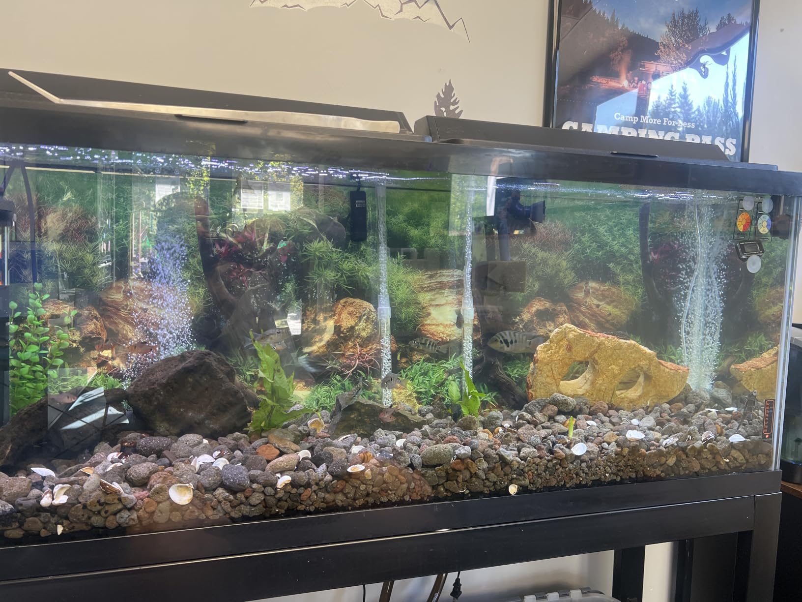 AQUANEAT Aquarium Air Pump 300GPH, for up to 200 Gallon Fish Tank, Powerful Hydroponic Aerator Pump with Tubing, Air Stones, Valves customer photo 1