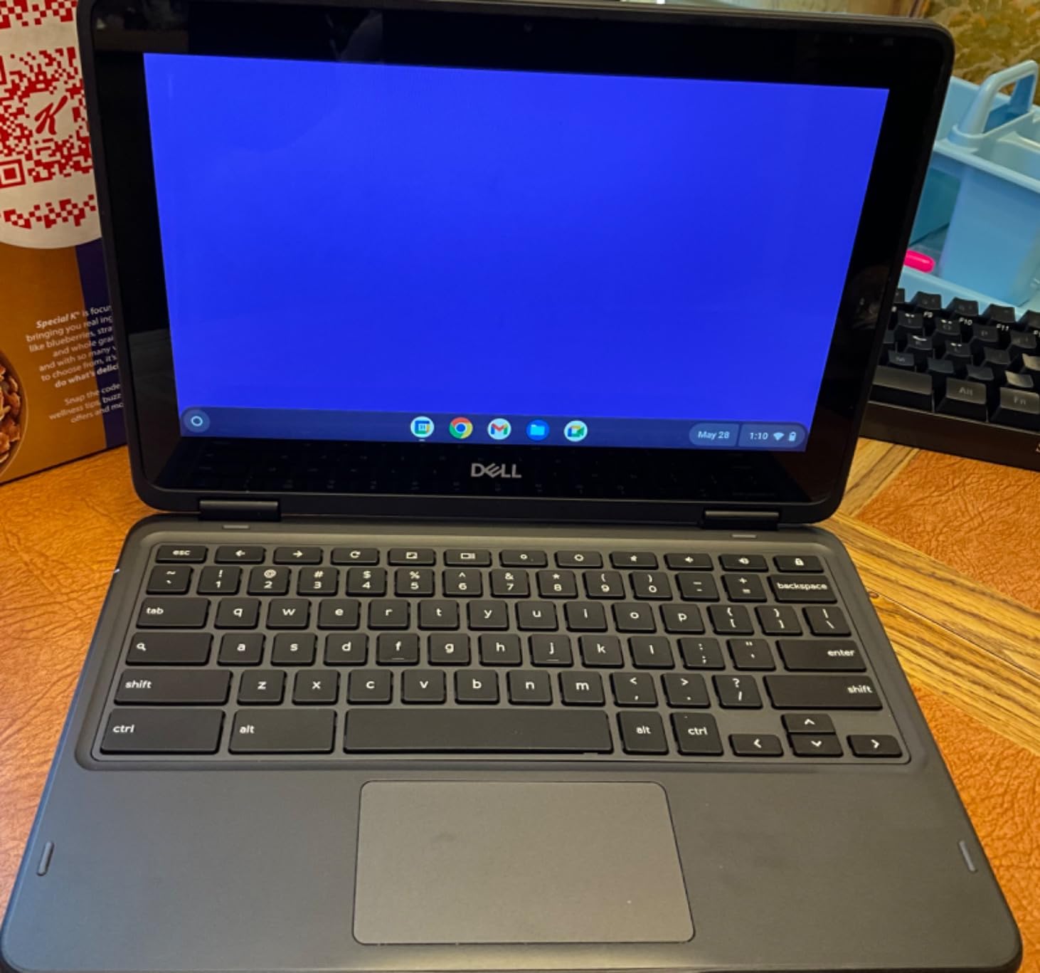 Dell Chromebook 11 3100 11.6