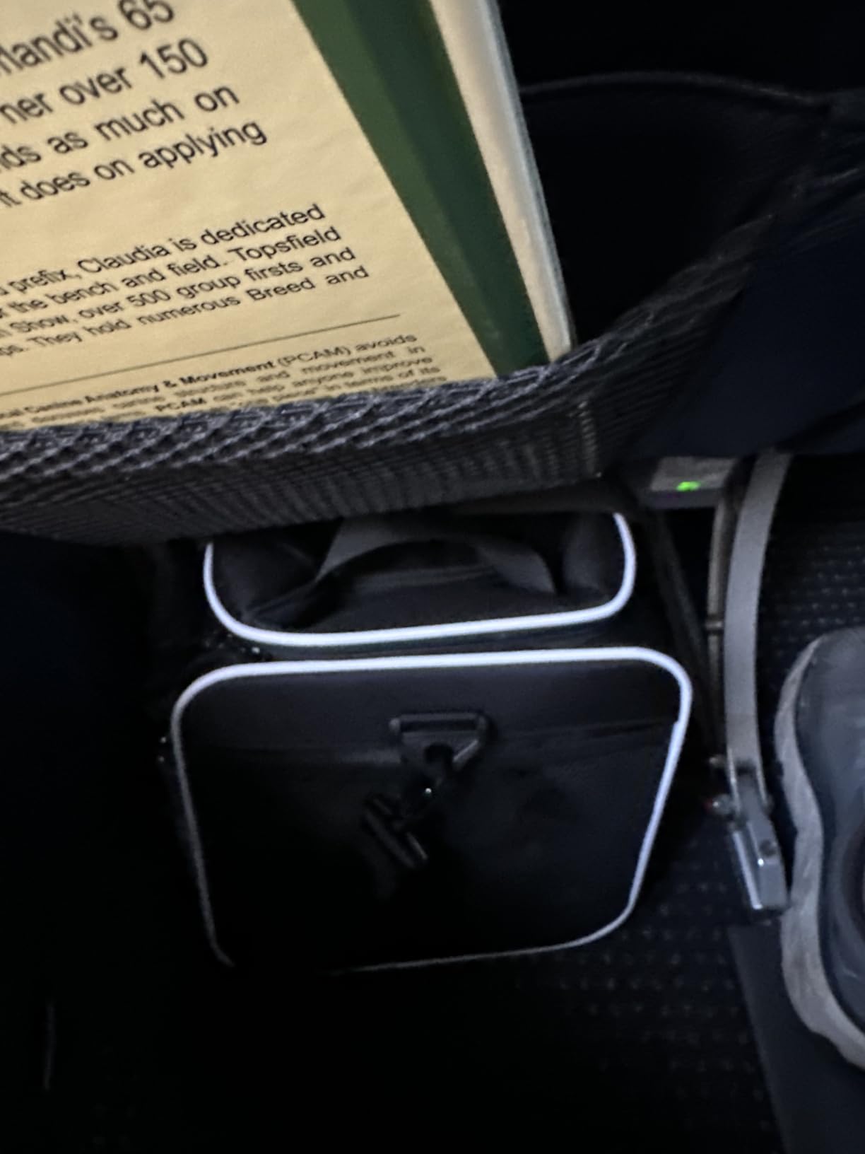 Petskd Top-Expandable Small Pet Carrier 17
