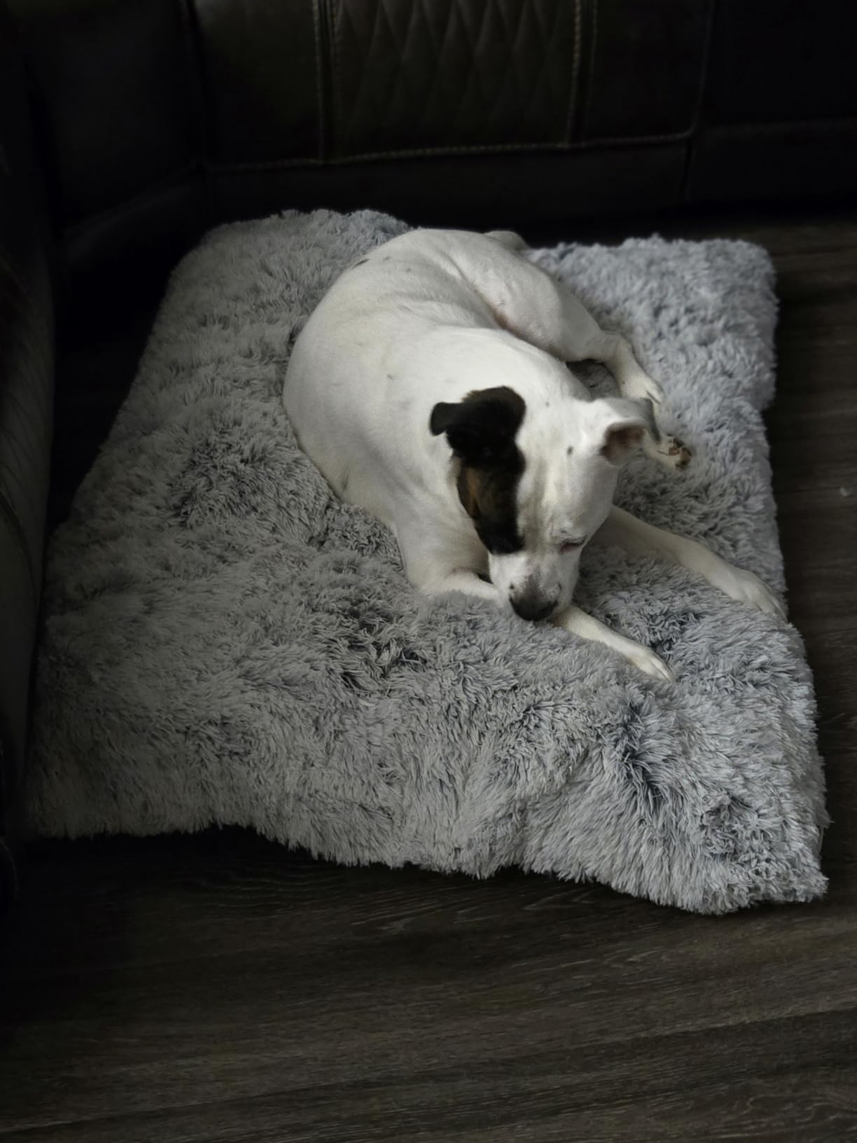 EHEYCIGA Fluffy Dog Crate Bed, Plush Extra Large Dog Pillow, Grey customer photo 2
