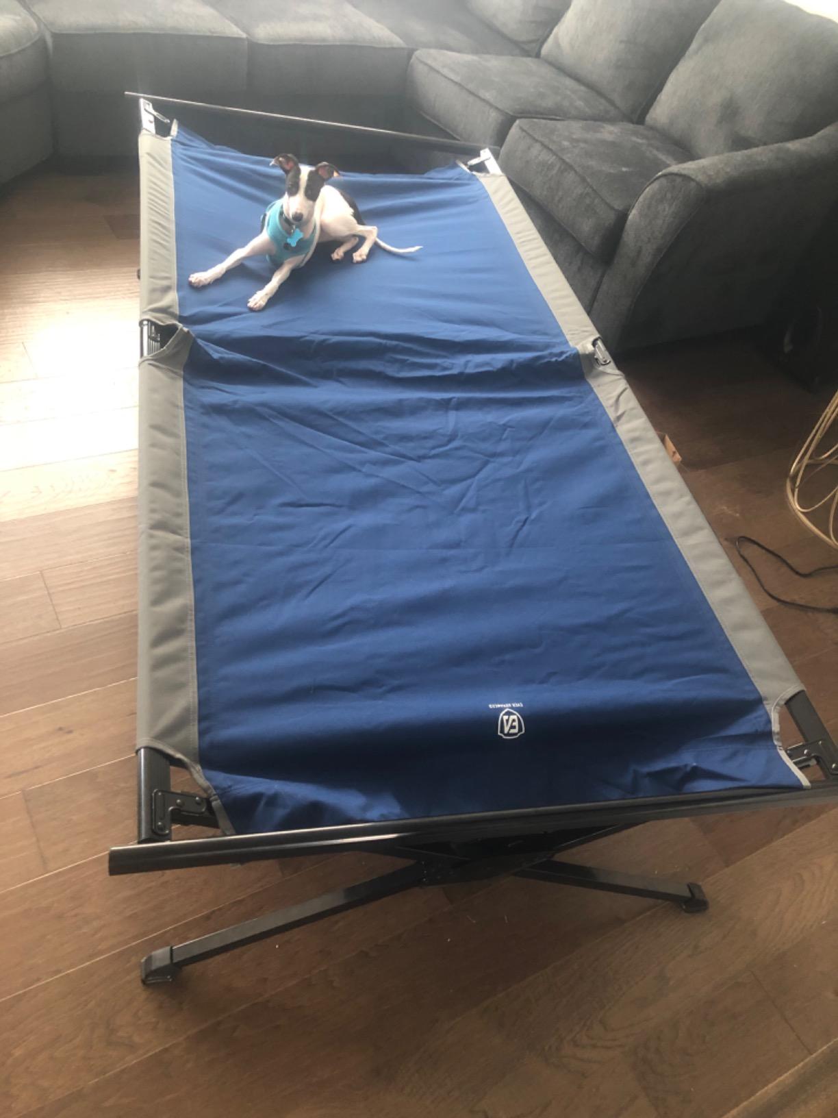 EVER ADVANCED Extra Wide Camping Cot for Adults Oversized XXL Sleeping Cots Folding Cot Bed with Carry Bag, 84.3