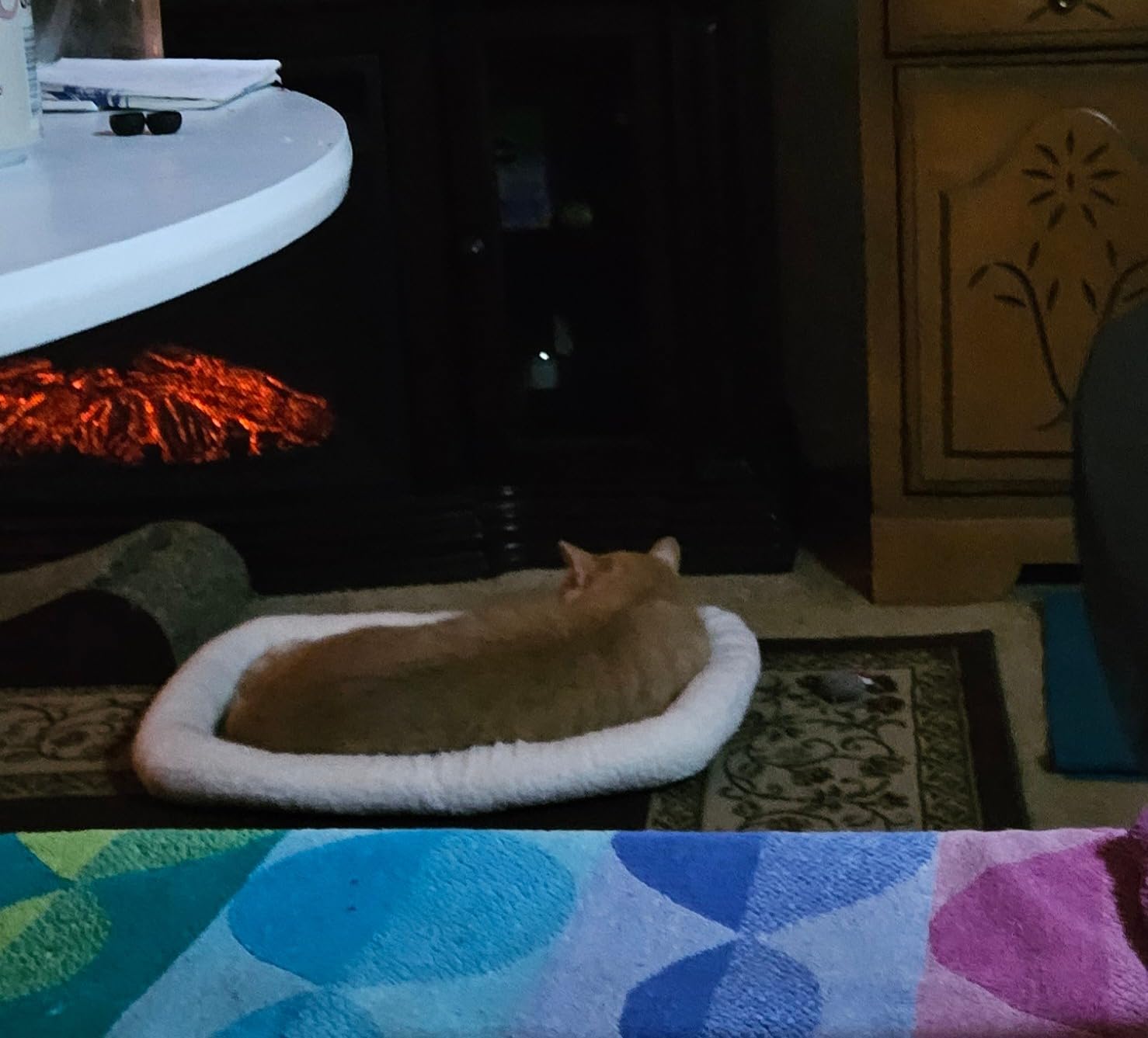 FurHaven Dog Bed for Extra Small Dogs & Cats, Bolster Crate Pad with Soft Supportive Base for Carriers & Kennels, Machine Washable, Extra Small, Sherpa Fleece, Cream customer photo 2