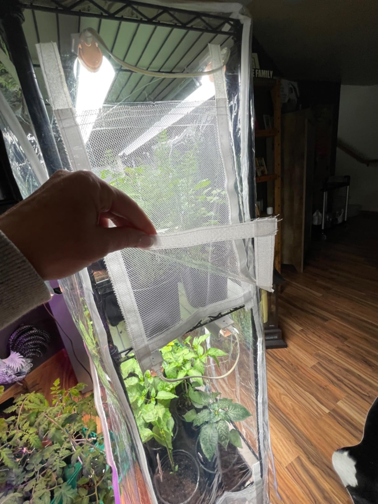 Barrina CX5Z Indoor Greenhouse with Grow Light, 180W, 4-Tier 35.4x13.8x59IN customer photo 1