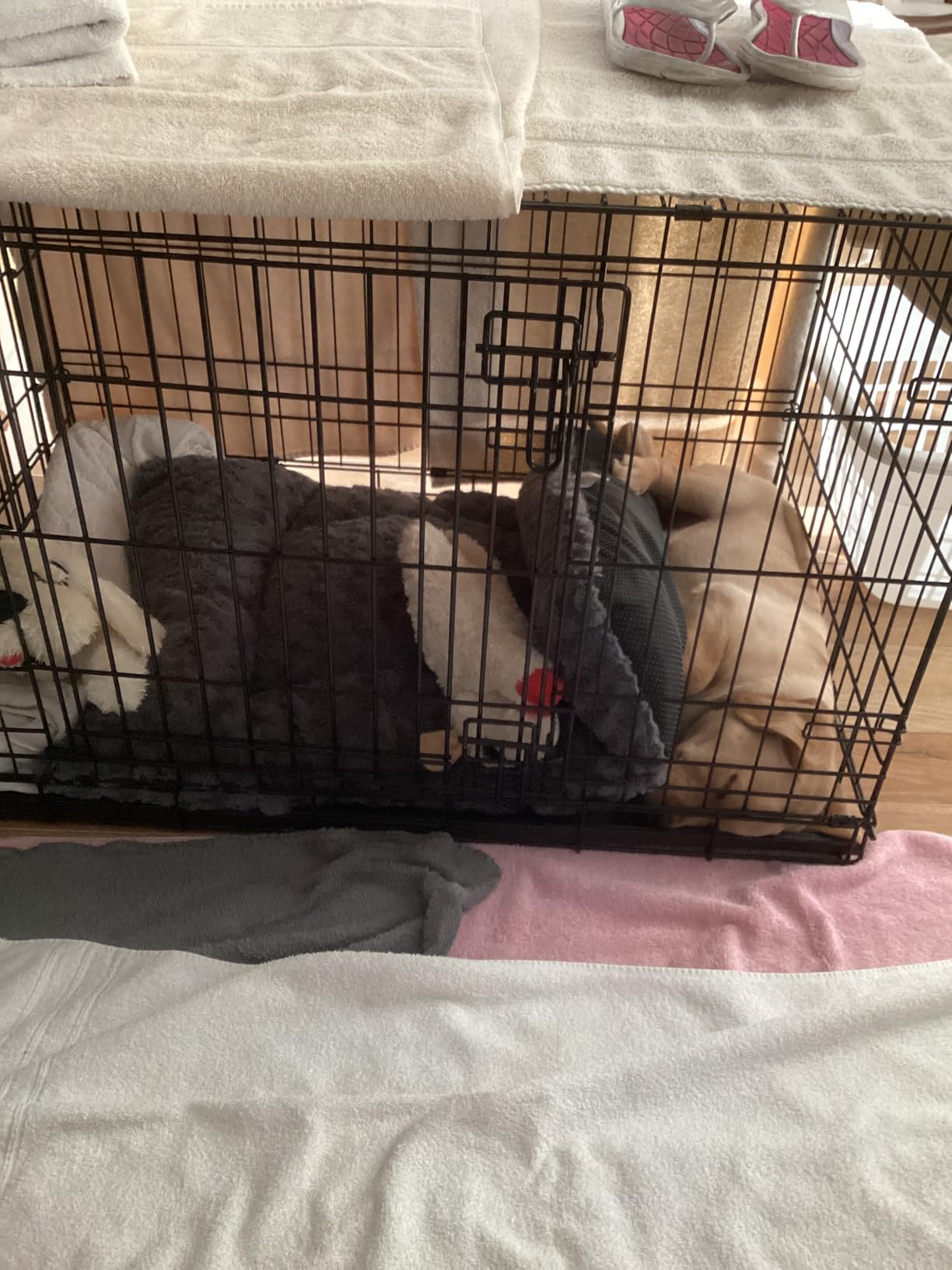 Exsnugy Washable Dog Bed Mat Medium Size Fluffy Pet Crate Pad 36x23 customer photo 2