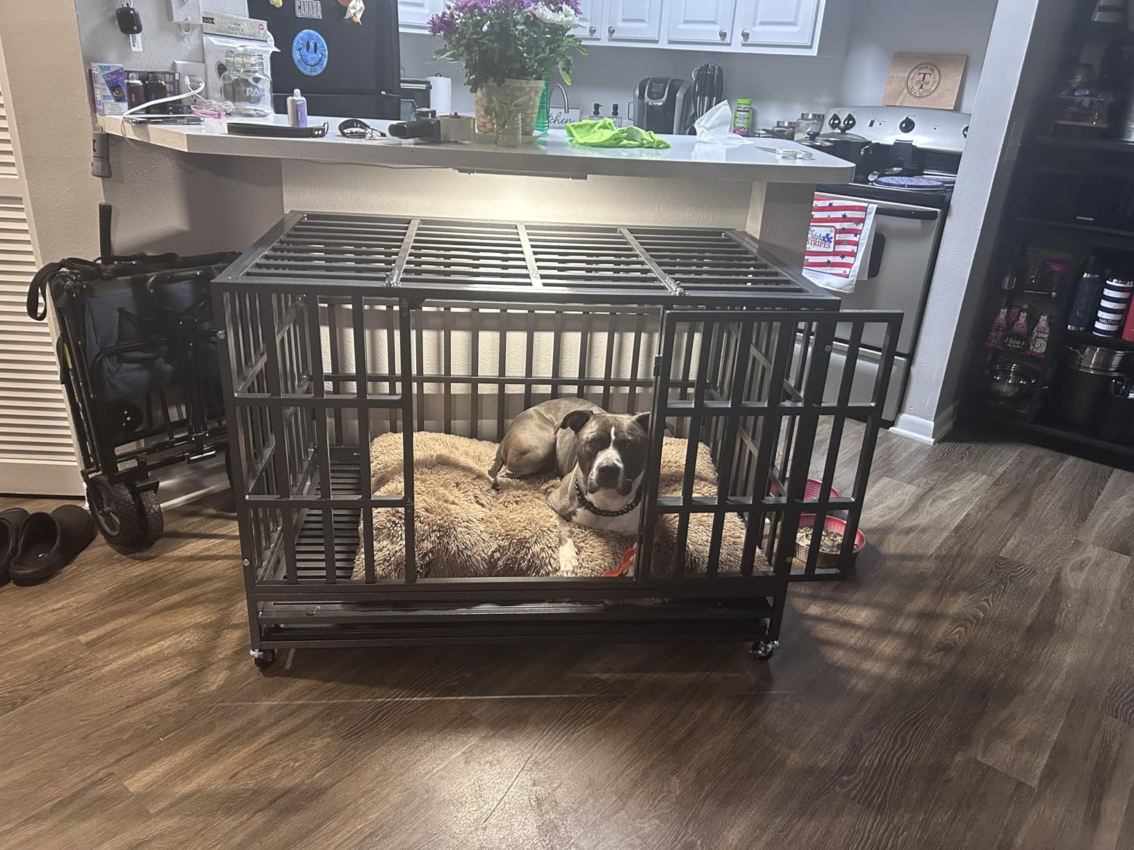 48 Inch Heavy Duty Dog Crate Kennel with Wheels, High Anxiety Indestructible Dog Crates for Large Dogs, XL XXL Extra Large Dog Crate with Removable Plastic Tray, Two Locks (Black, Square) customer photo 1