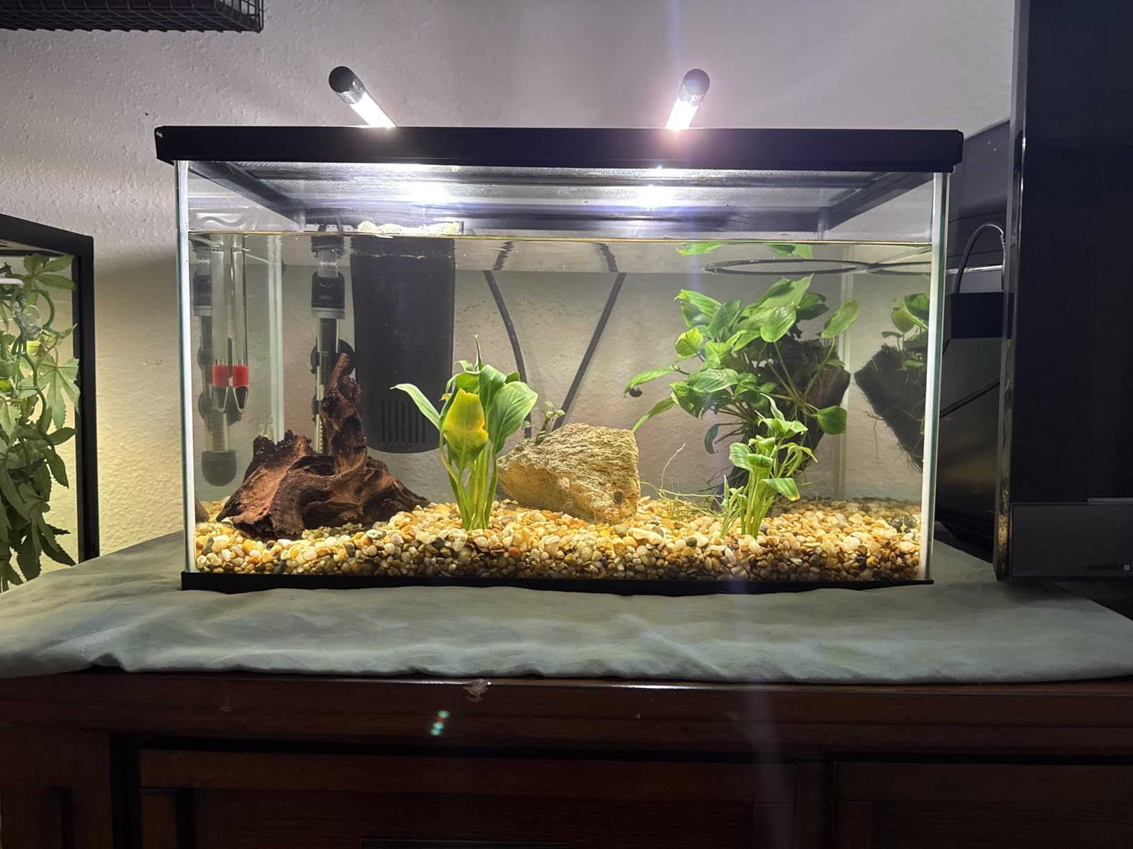 Wolezek Clip on Grow Lights for Indoor Plants, Full Spectrum 6000K customer photo 2