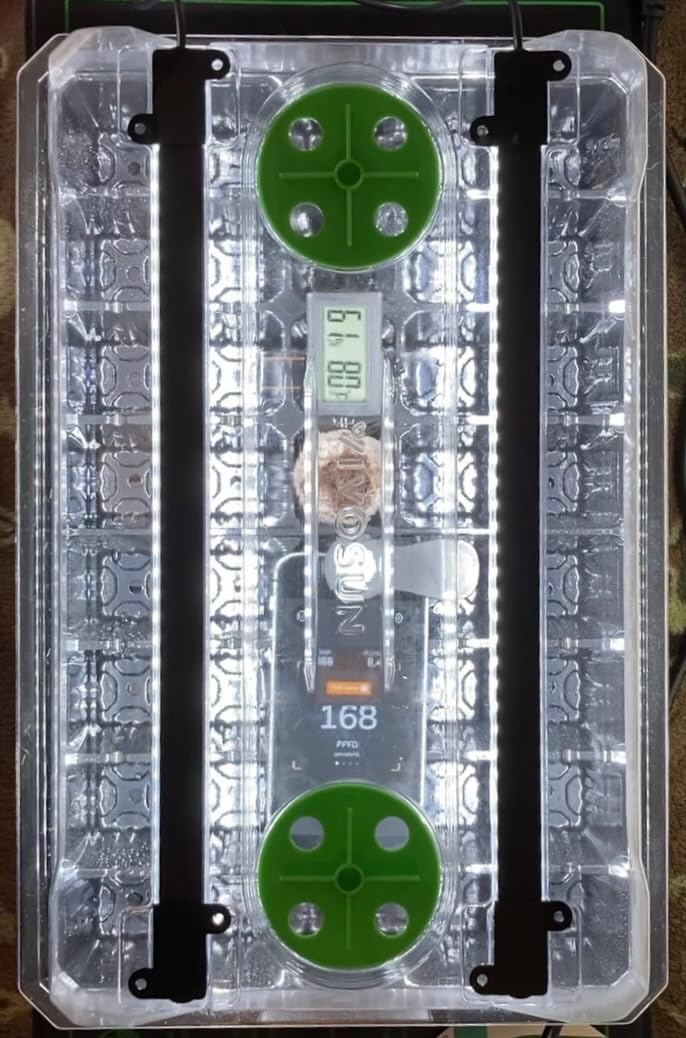 VIVOSUN 1-Pack Seed Starter Kit, 40-Cell Tray, LED Lights and Heat Mat customer photo 2