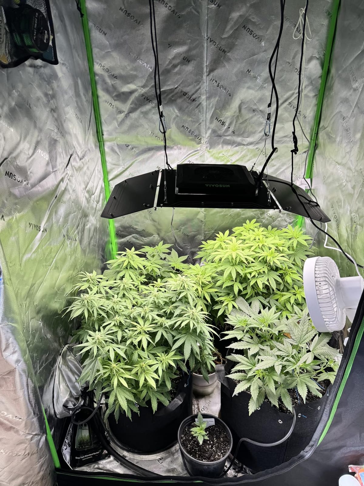 VIVOSUN Smart Grow Tent Kit for 3x3 ft Indoor Growing, 36