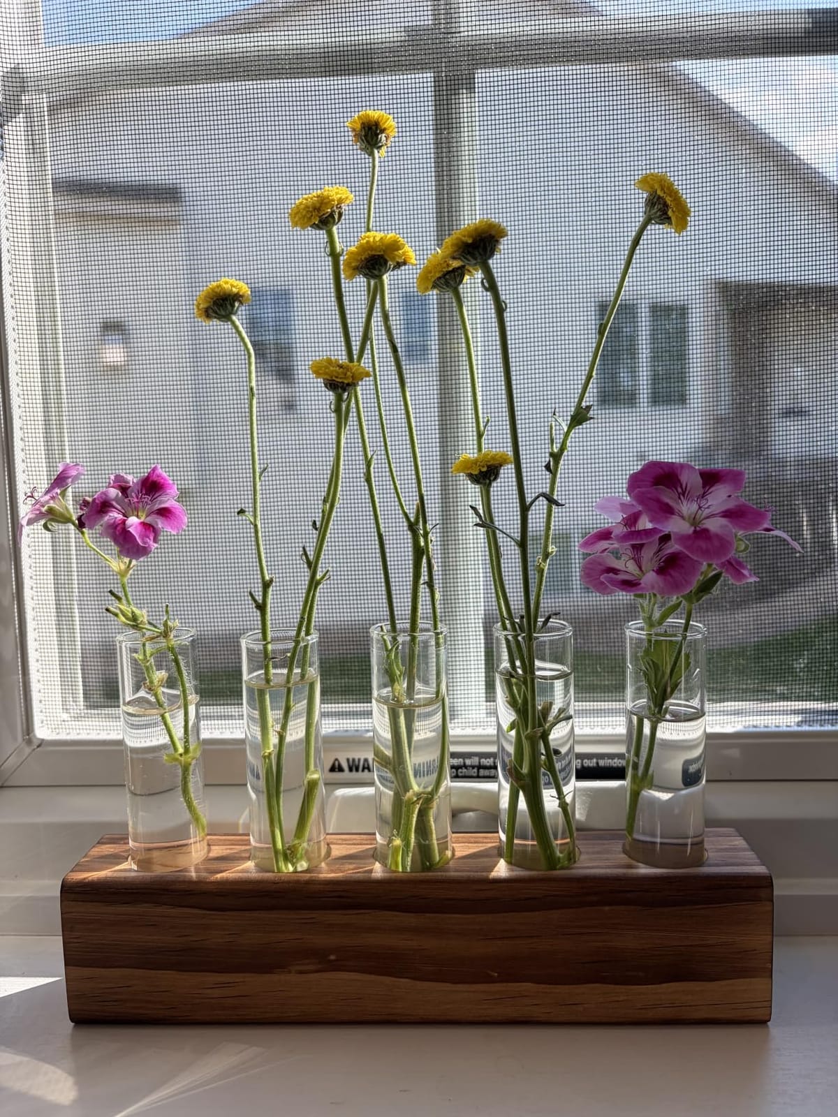 YIBOT Plant Propagation Station, Plant Terrarium with Wooden Stand customer photo 1
