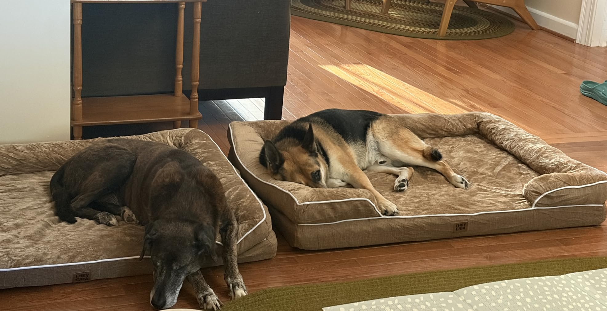 EHEYCIGA Orthopedic Dog Beds for Extra Large Dogs, Waterproof Memory Foam XL Dog Bed with Sides, Non-Slip Bottom and Egg-Crate Foam Big Pet Couch Bed with Washable Removable Cover, Camel customer photo 2