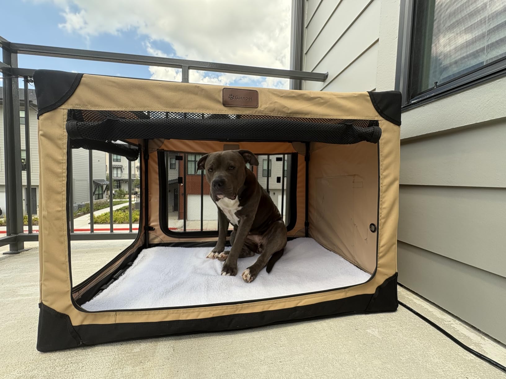 Garnpet 36 Inch Collapsible Soft Dog Crate for Large Dogs, 4-Door Foldable Travel Dog Kennel with Durable Mesh Windows for Indoor & Outdoor Portable Pet Crate, Soft Side Dog Crate, Beige customer photo 2