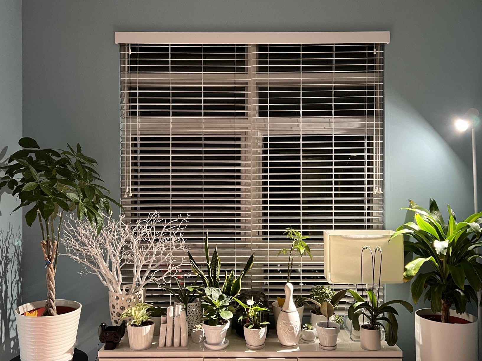 HMVPL White Grow Lights for Indoor Plants Full Spectrum,Tall Plant Light for Indoor Growing with 20W COB Plant Light Bulb,4/8/12H Timer,Led Growth Floor Lamp for Large Plant Seedling(6 Level Height) customer photo 1
