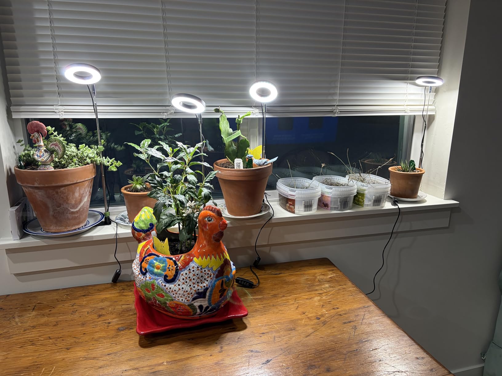 Aokrean Grow Lights for Indoor Plants, Full Spectrum Plant Light with Base customer photo 1