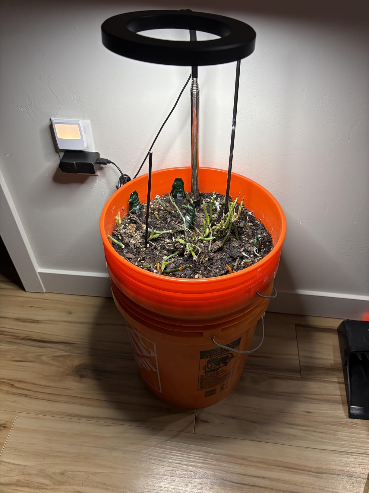 Aokrean Grow Lights for Indoor Plants, Full Spectrum Plant Light with Base customer photo 2