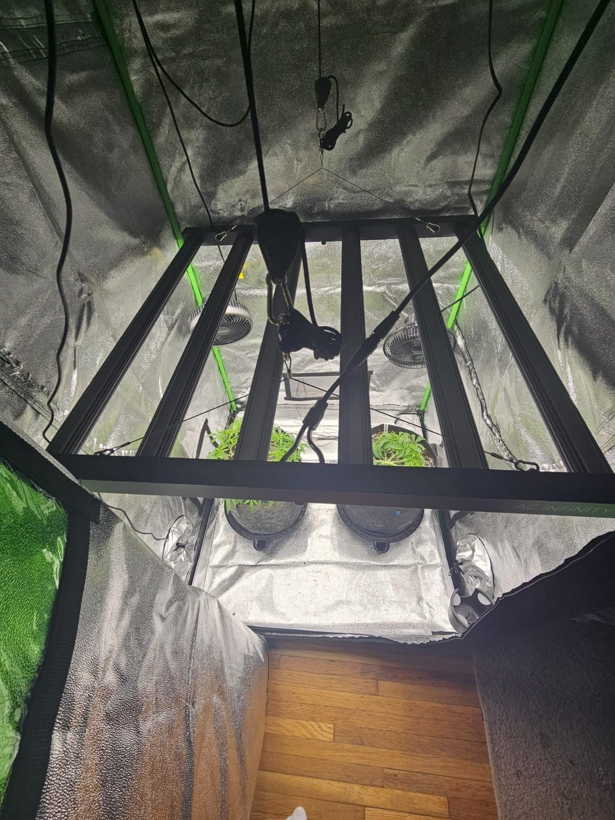 AC Infinity IONFRAME EVO6, 500W Samsung EVO Bar LED Grow Light 4x4 customer photo 1