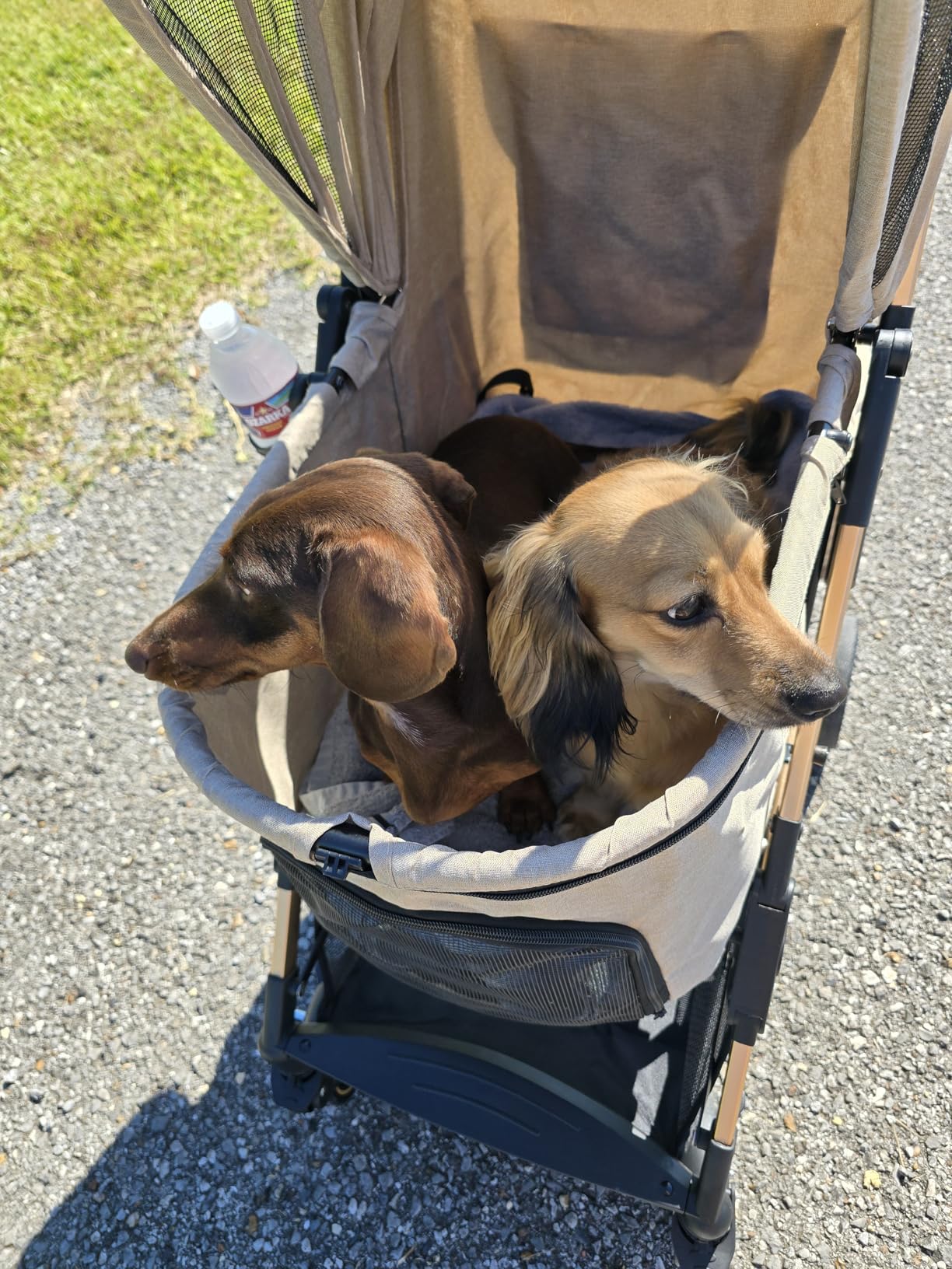 Medium Dog Stroller, Kenyone Pet Stroller for Medium Dogs Up to 55lbs, Lightweight Aluminum Frame, One Click Folding, Large Cat Stroller with No Zip Entry, Detachable Mesh, Multiple Pockets customer photo 2