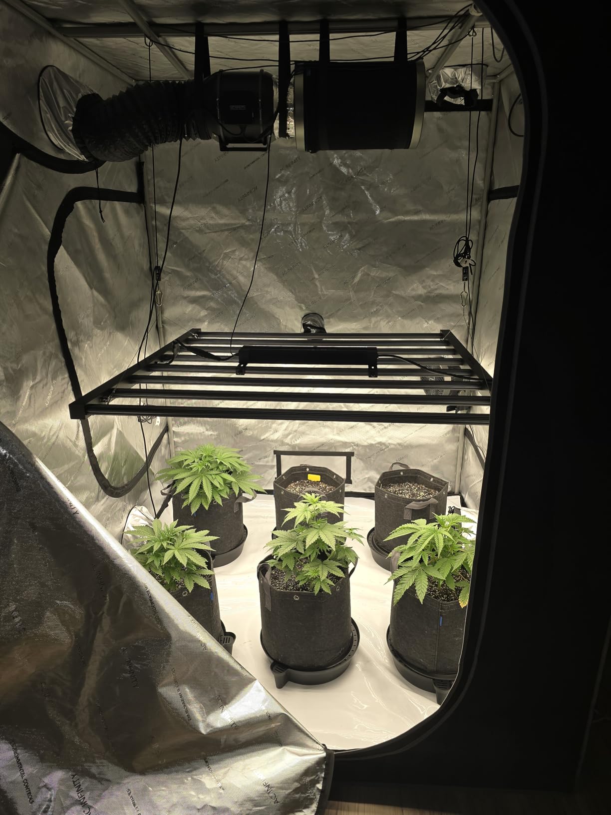 AC Infinity AI Grow System PRO 5x5, 6-Plant Kit w/ AI Controller customer photo 1