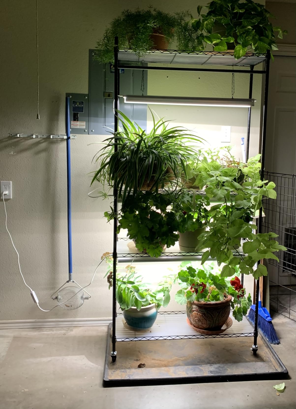Barrina CX3 Plant Stand with Grow Light, 4-Tier, 108W, 35.4x13.8x70.9IN customer photo 1