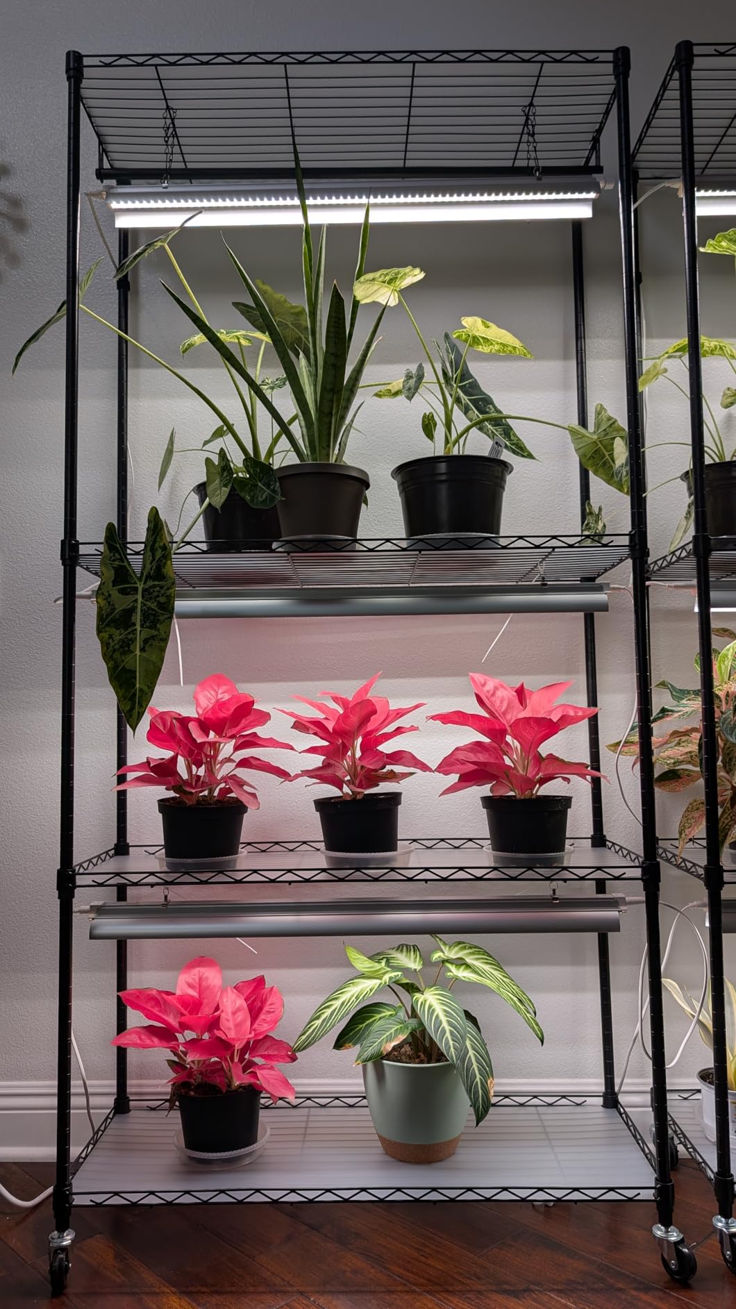 Barrina CX3 Plant Stand with Grow Light, 4-Tier, 108W, 35.4x13.8x70.9IN customer photo 2