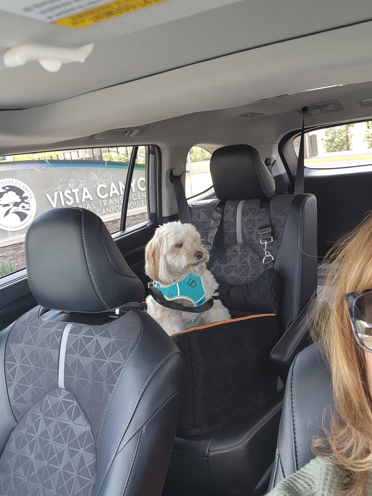 Dog Car Seat for Small Dogs Up to 25 lbs with 6-Inch Memory Foam Cushion customer photo 1