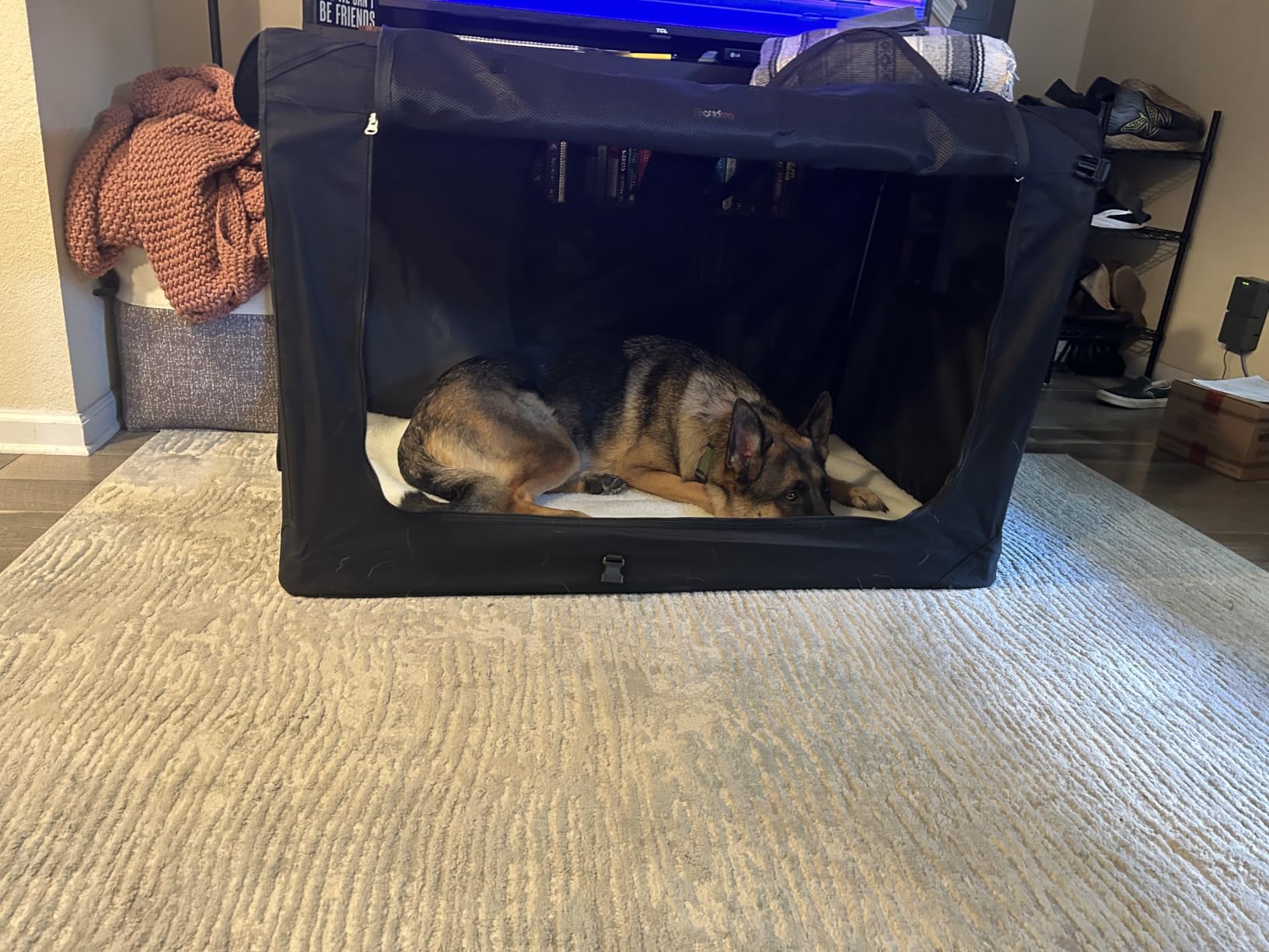 Feandrea Collapsible Soft Dog Crate, Portable Travel Carrier, 24 Inches customer photo 1