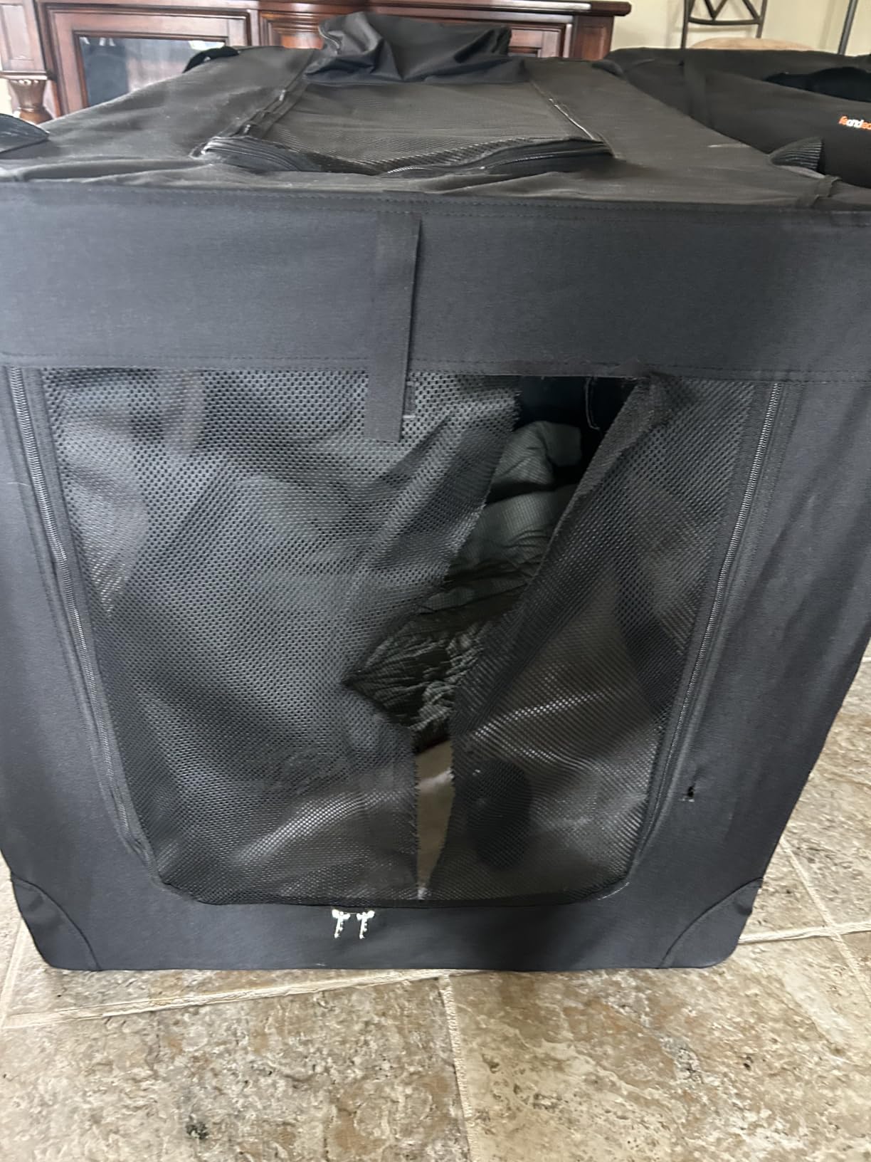 Feandrea Collapsible Soft Dog Crate, Portable Travel Carrier, 24 Inches customer photo 2