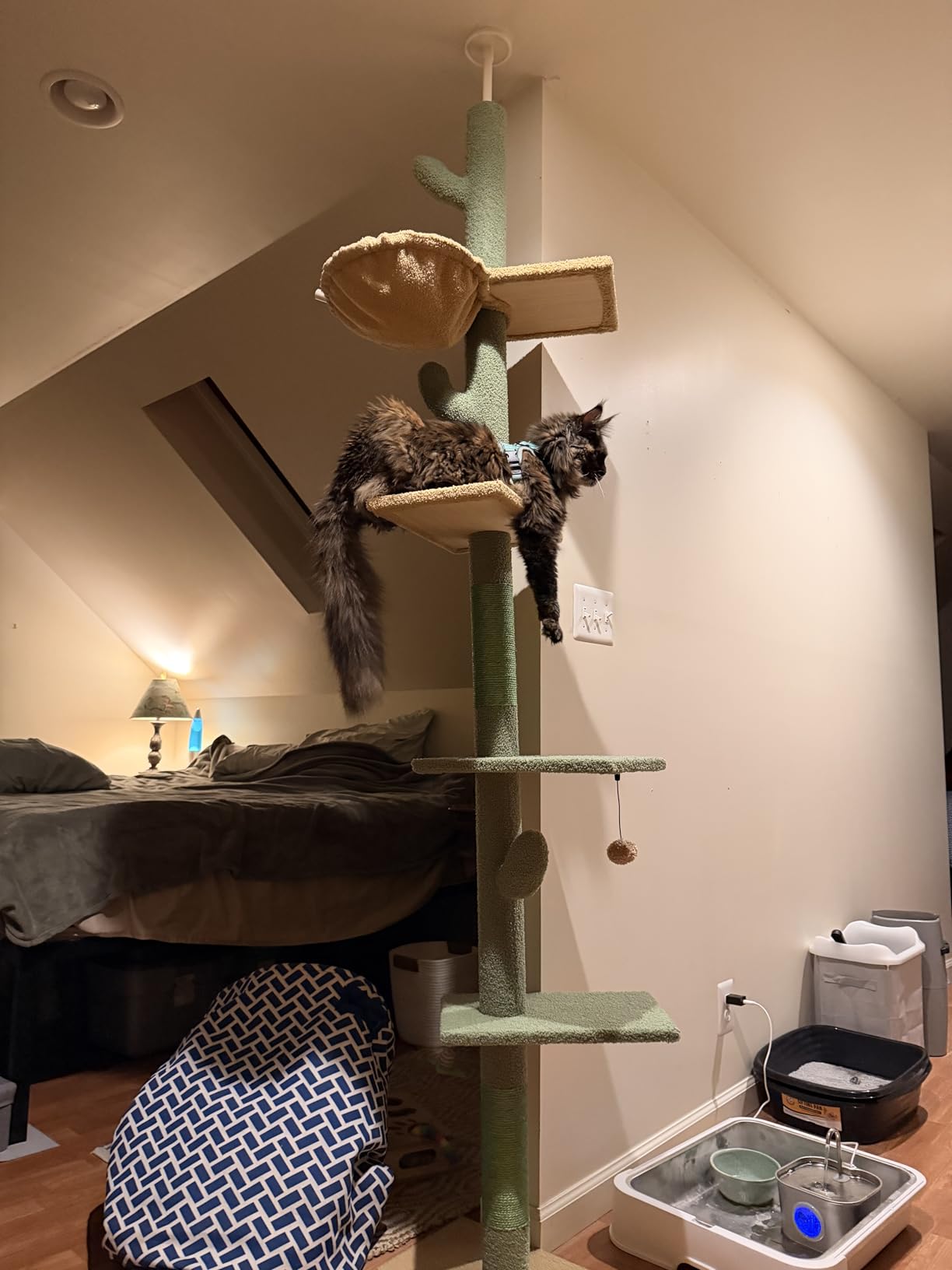 PAWZ Road Cactus Floor-to-Ceiling Cat Tree 5-Tier Cat Tower with Hammock customer photo 1