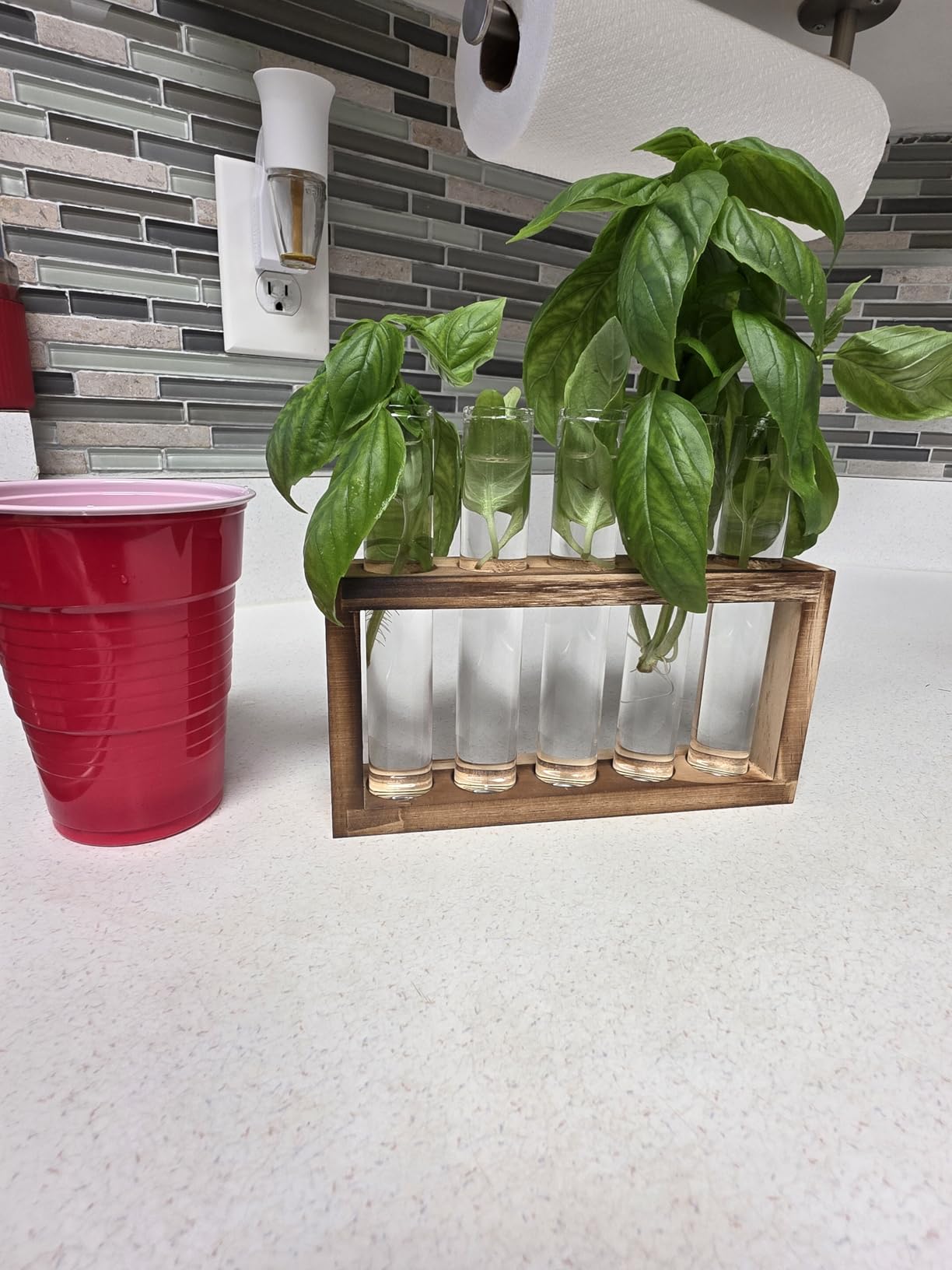 Tigvio Desktop Glass Plant Propagation Station (5 Tubes) customer photo 2