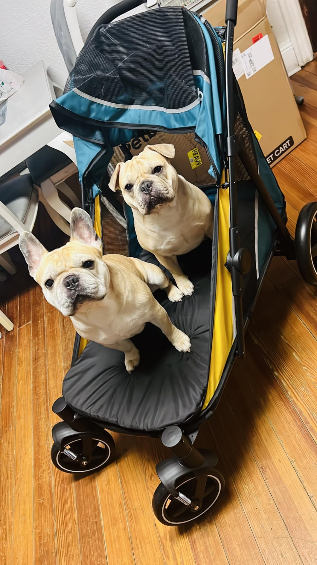 Petbobi Dog Stroller for Large Medium Dogs up to 80 lbs, Dual Entry customer photo 1