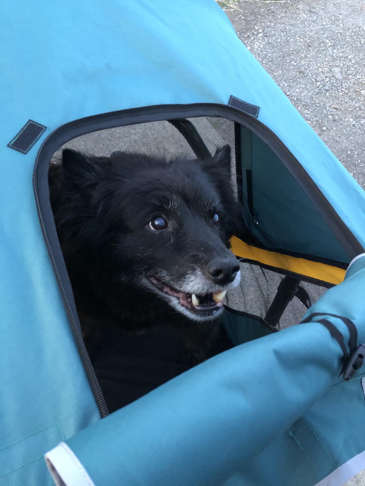 Petbobi Dog Stroller for Large Medium Dogs up to 80 lbs, Dual Entry customer photo 2