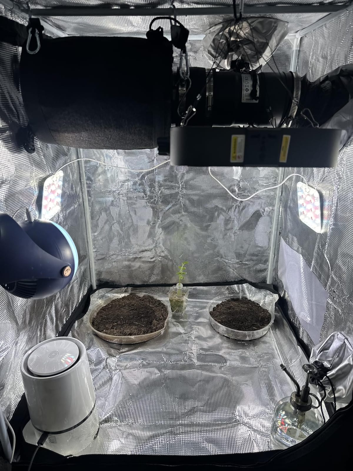 2x2 Grow Tent, 24