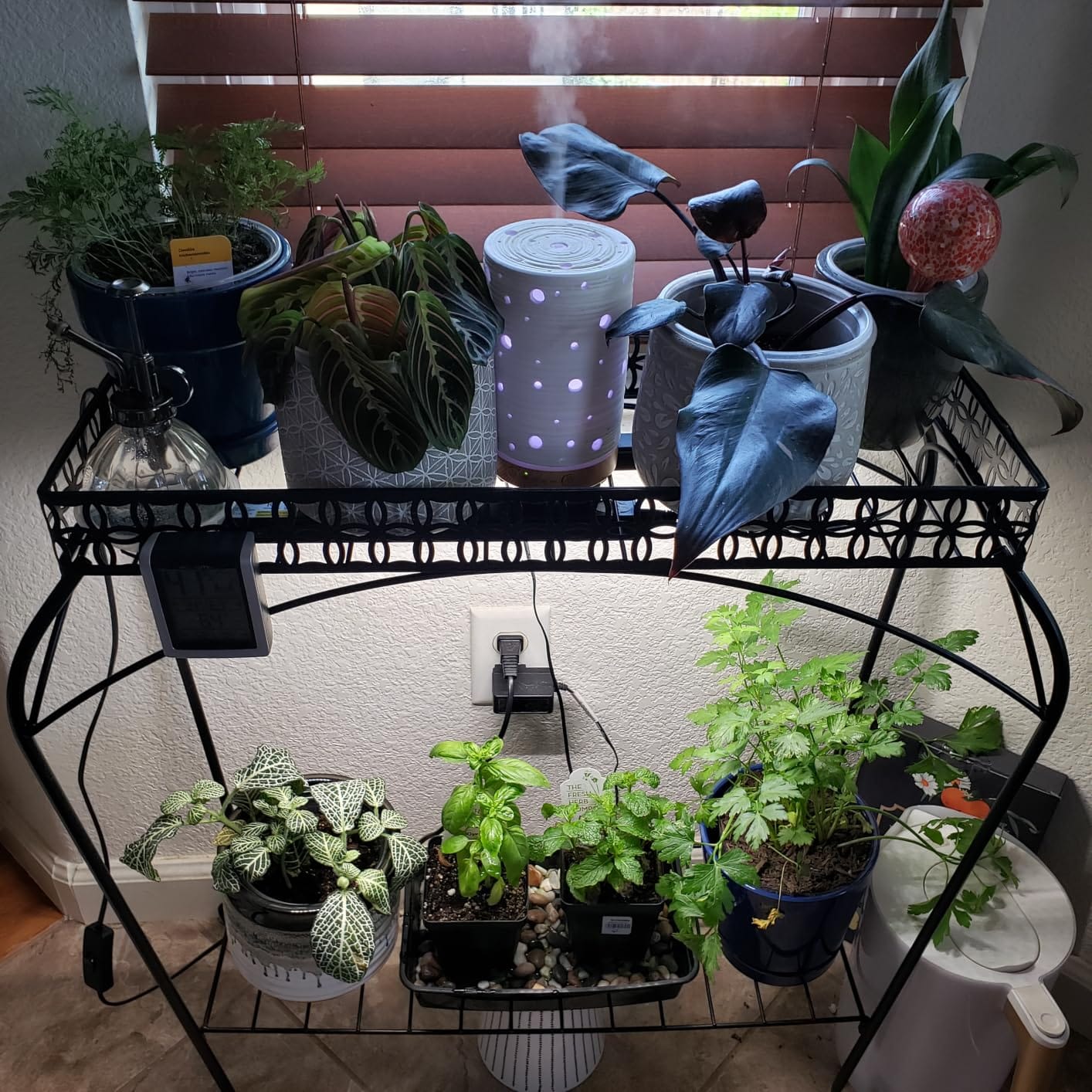 Barrina T5 Grow Lights for Indoor Plants, 2FT 5000K Full Spectrum, 4 Packs customer photo 1