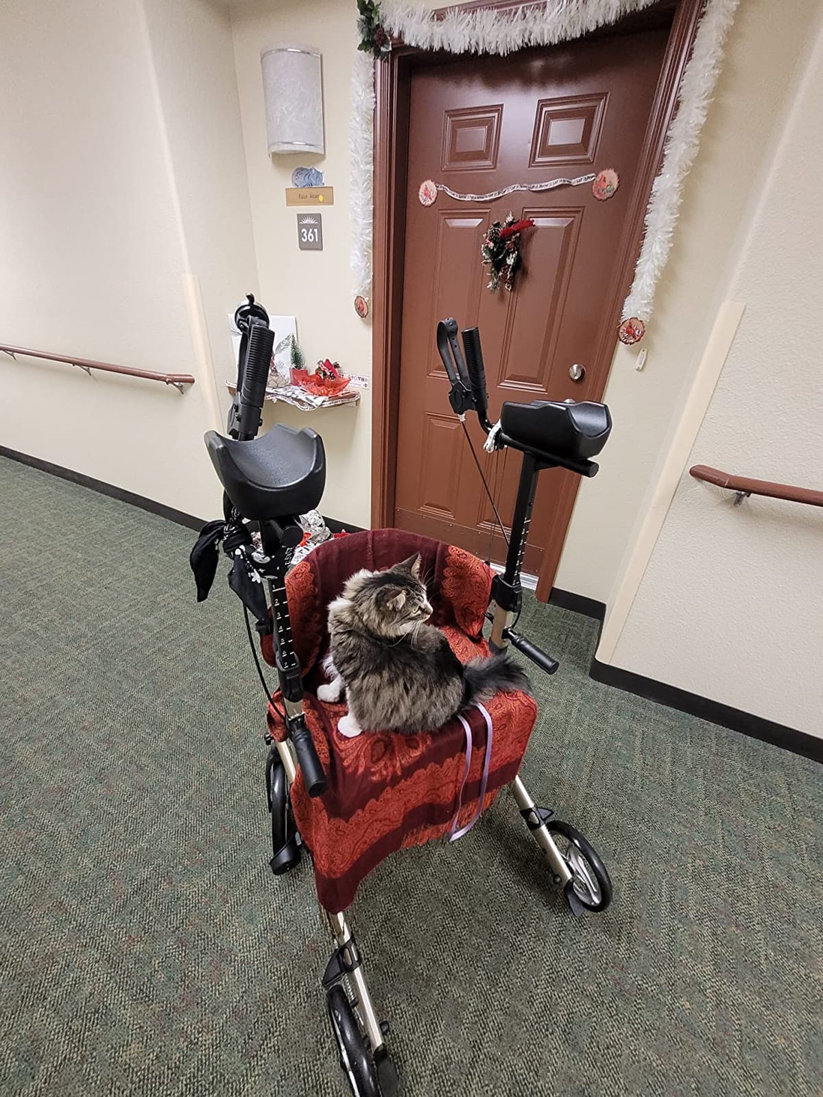 ELENKER Upright Rollator Walker, Stand up Rolling Walker with Seat, Compact Folding Design for Seniors, Purple customer photo 1