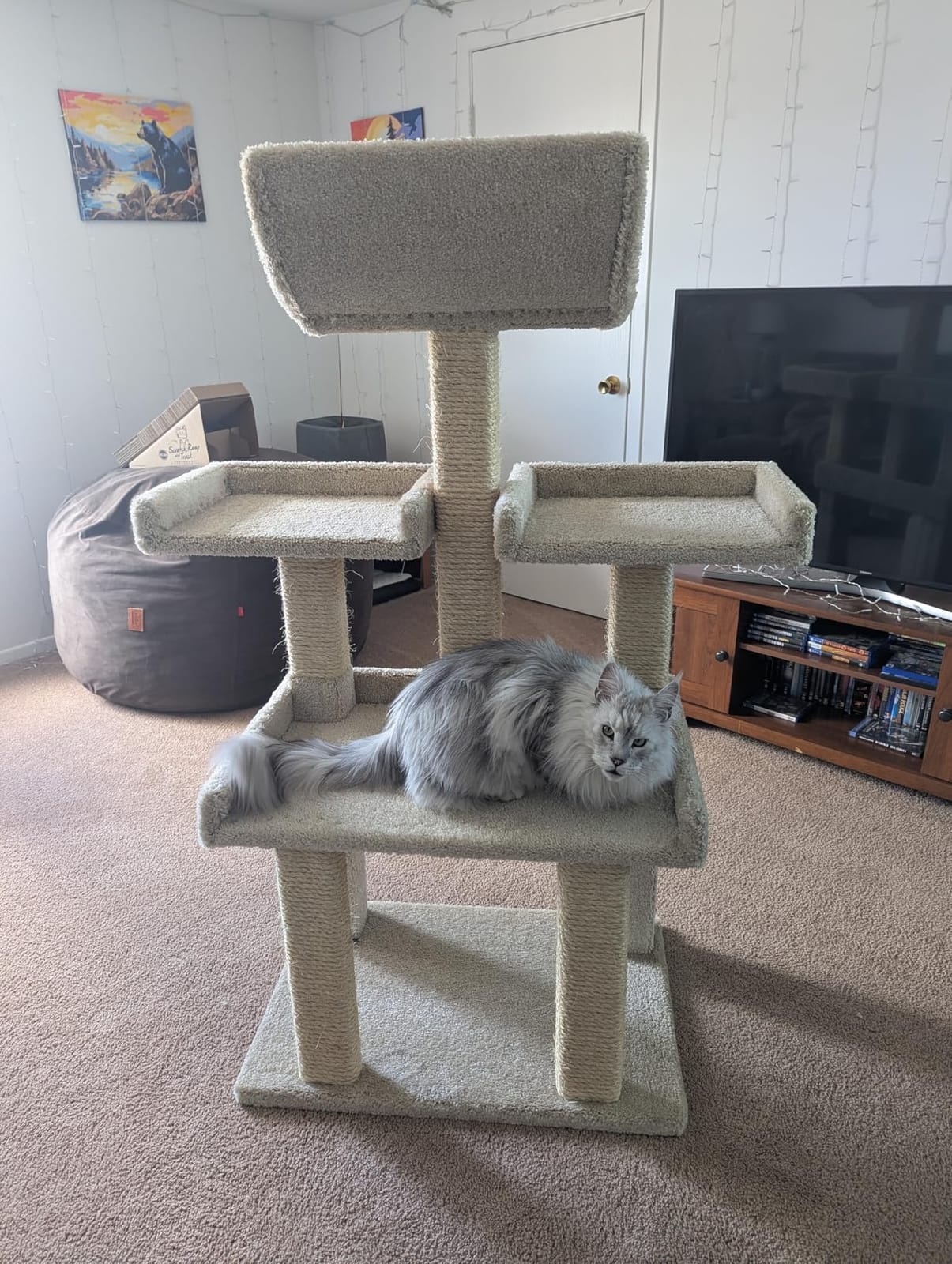 Prestige Cat Trees Extra Large Cat Tree Tower for Big Cats customer photo 2