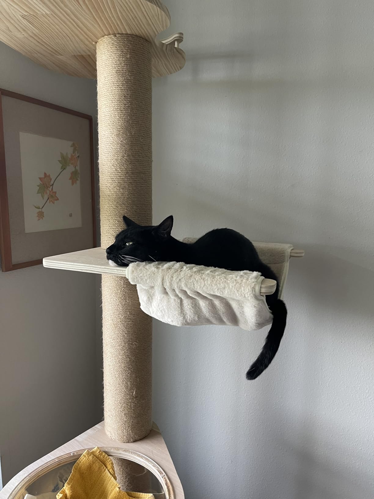 Floor to Ceiling Cat Tree Height (50-120.5in) Adjustable Cat Tower 5 Tier Hemp Scratching Post High Cat Tree Sturdy Activity Tree Indoor Outdoor Cat Scratching Post Activity Center customer photo 1