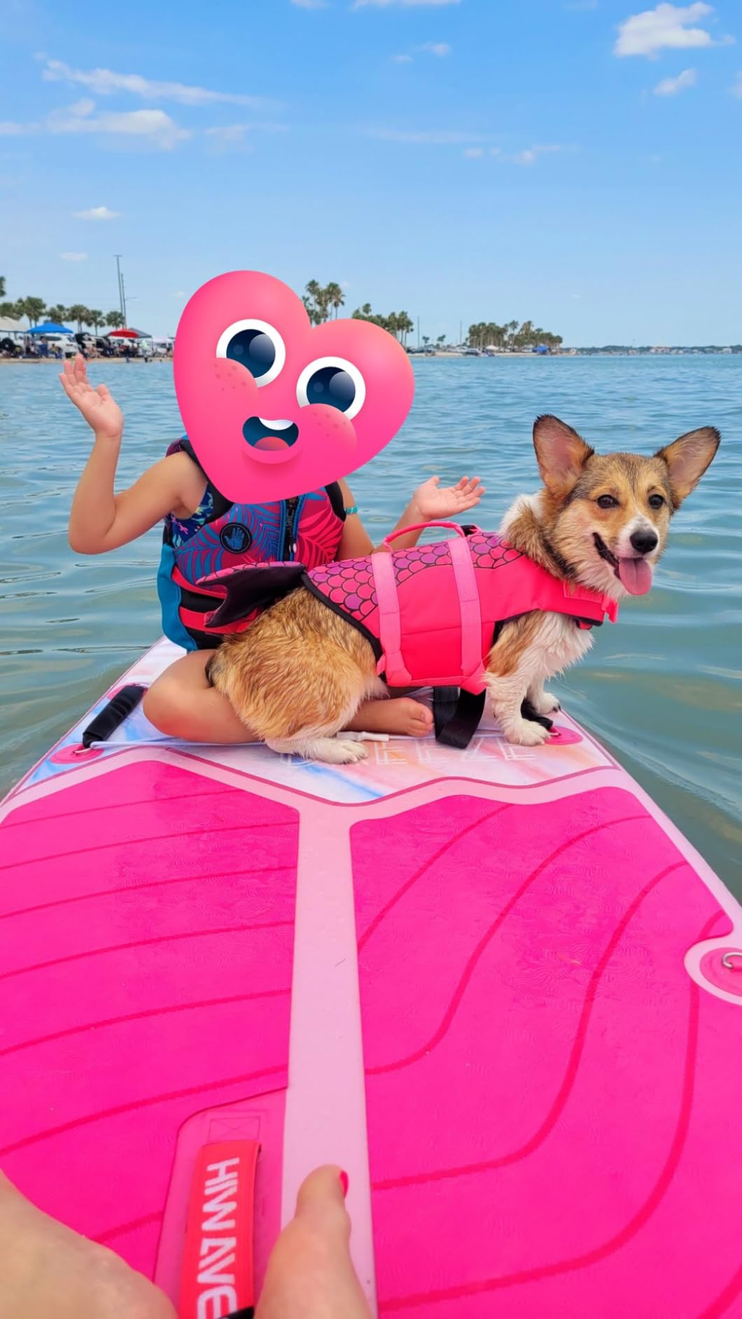 Hiwave Inflatable Stand Up Paddle Board 11’*34”*6” Sup Board, 420lbs Capacity Adult&Youth Paddle Board, Pet Friendly for Ocean&Lake, w/Double Action Hand Pump customer photo 1