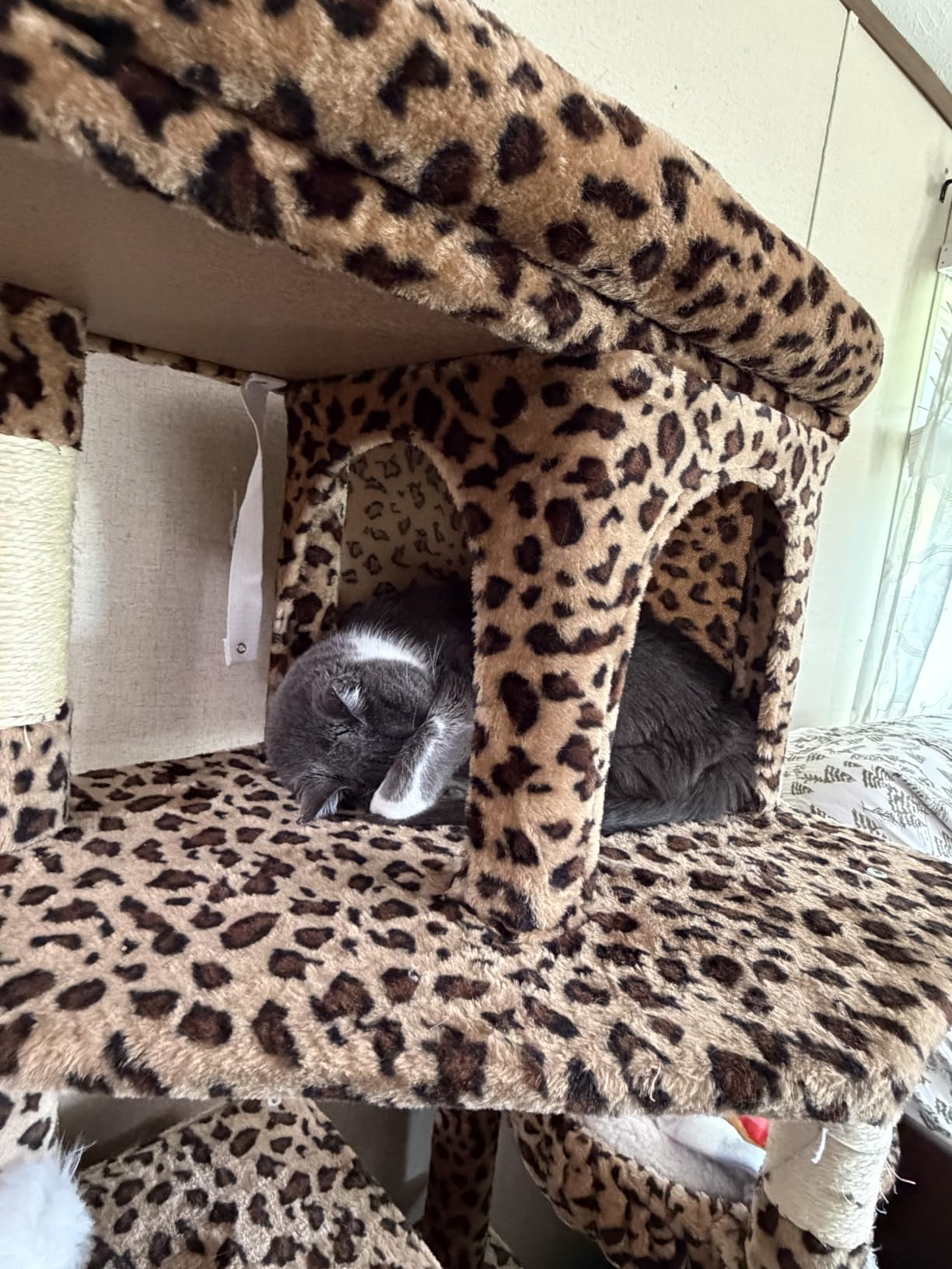 Globlazer S72 Heavy Duty Cat Trees for Large Cats 20 lbs+, Dark Gray customer photo 1