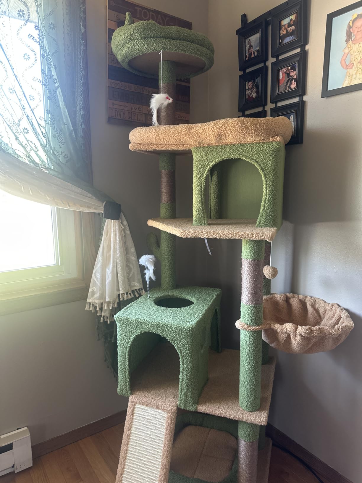 Globlazer S72 Heavy Duty Cat Trees for Large Cats 20 lbs+, Dark Gray customer photo 2