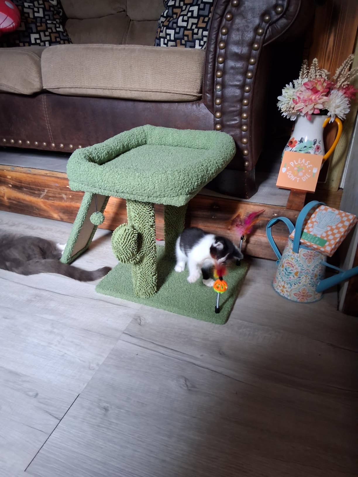 TWDEPART Cat Tree Tower with Cat Scratching Post for Indoor Cats, Activity Centre Climbing Tree with Scratching Board and Playful Toy Balls, Grey customer photo 1