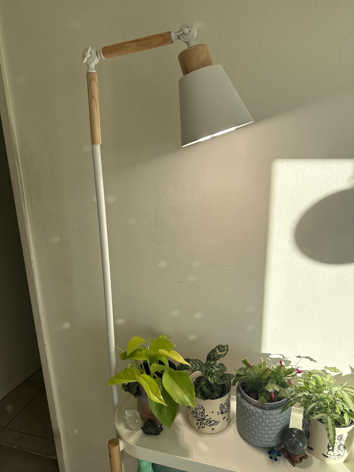 HMVPL Grow Lights for Indoor Plants Full Spectrum, Plant Lights for Indoor Growing with 20W COB Grow Light Blub, 4/8/12H Timer, Standing Tall Grow Lamp for Middle Large Plants(75'', Height Adjustable) customer photo 1